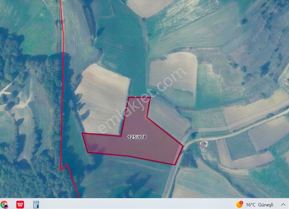 Sakarya Kaynarca Yeniçamda 6025 M² Yola Cepheli - Görsel 9