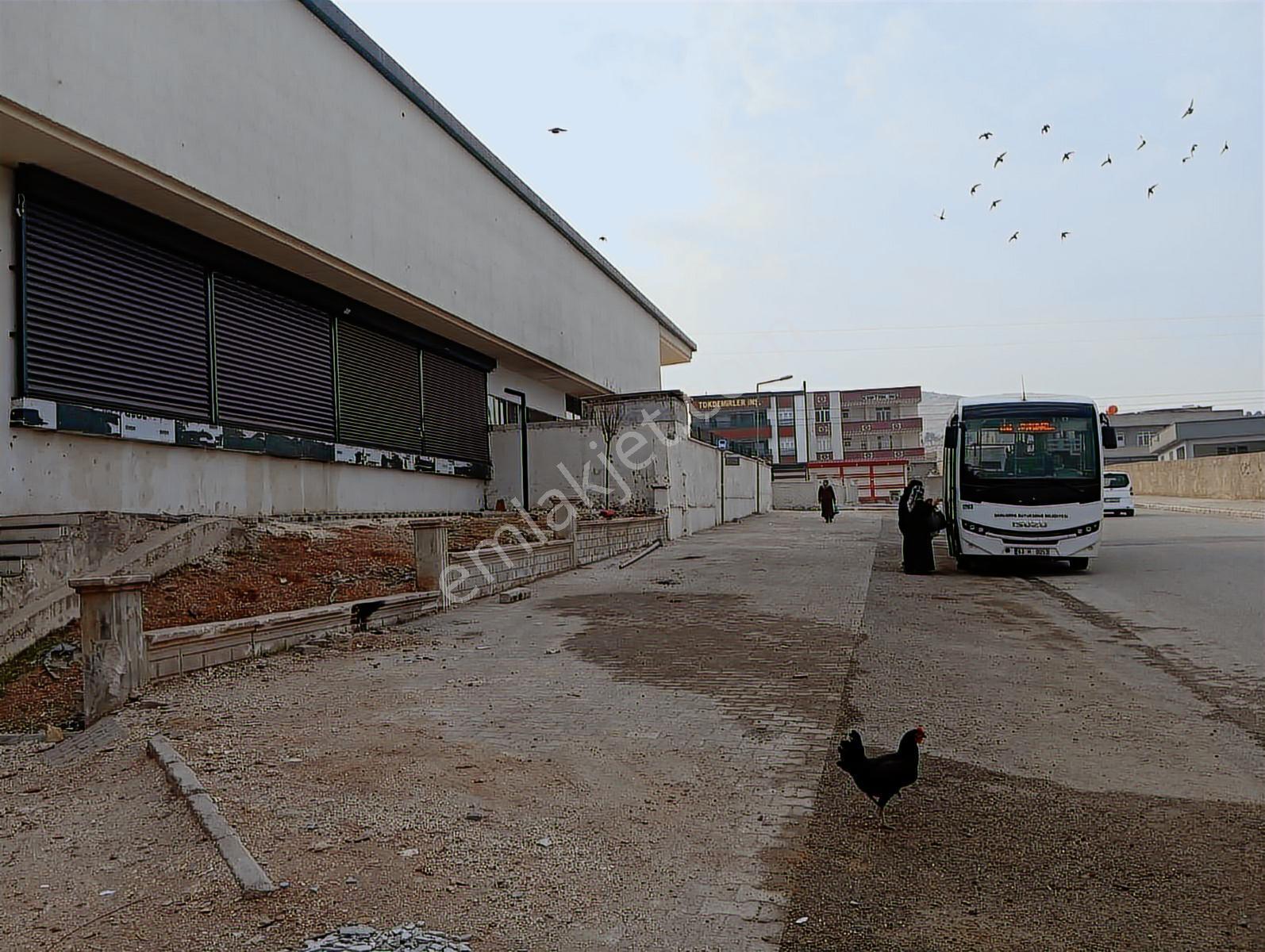 Resmi Tapu Devir-insanın Ömründe Böyle Bir Fırsat Bi Daha Gelmez - Görsel 21