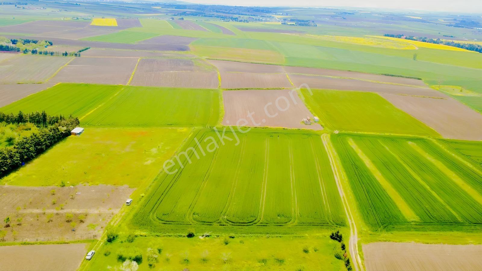 Silivri Fener Mah Satılık Tek Tapu Tarla