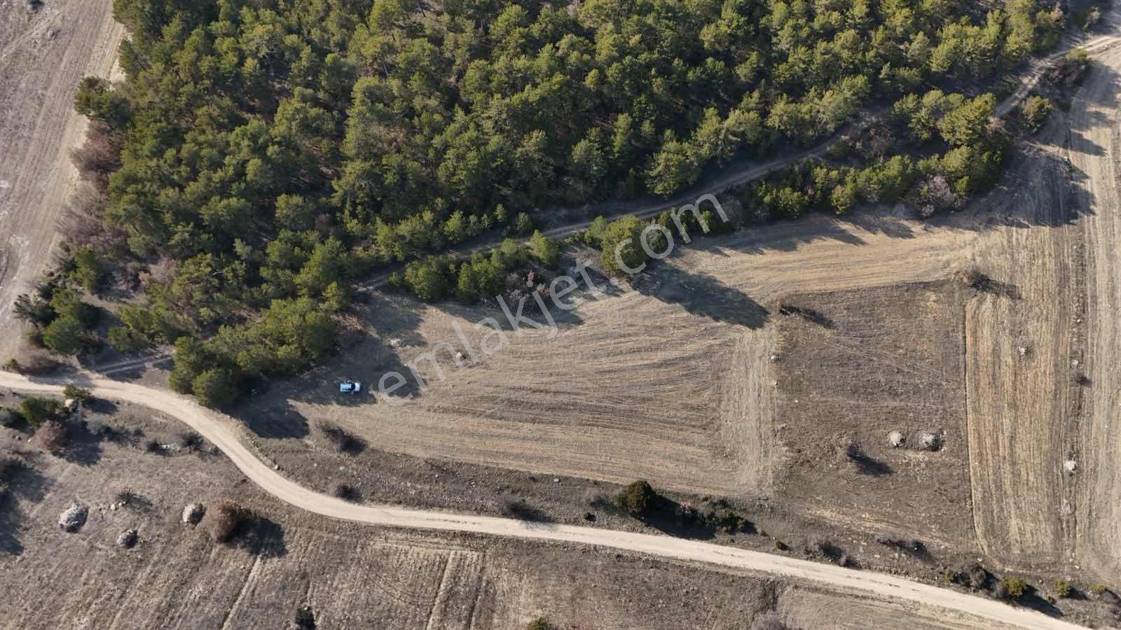 Kütahya Altıntaş Oysu 4070 M2 - Görsel 5