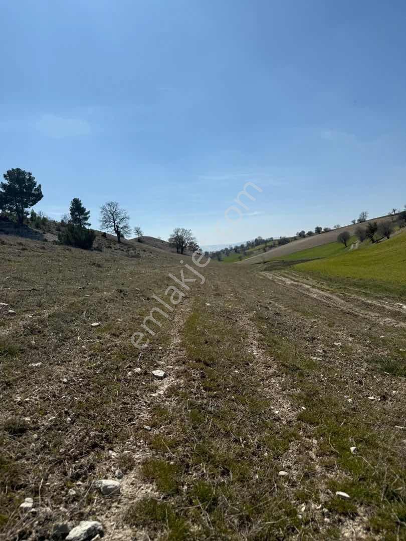 Kütahya Altıntaş Oysu 4070 M2 - Görsel 10