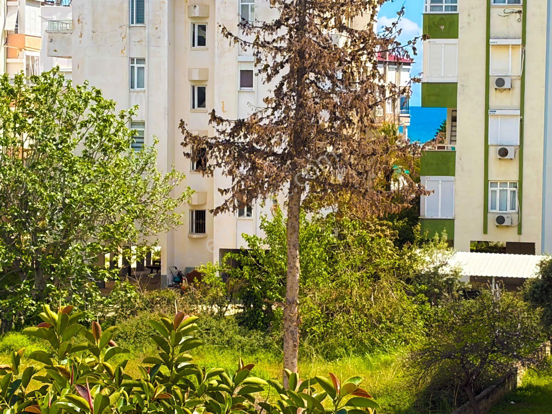 Mersin Anamur Sahil Satılık 2+1 Daire (fiyatı Düşürdük) - Görsel 25