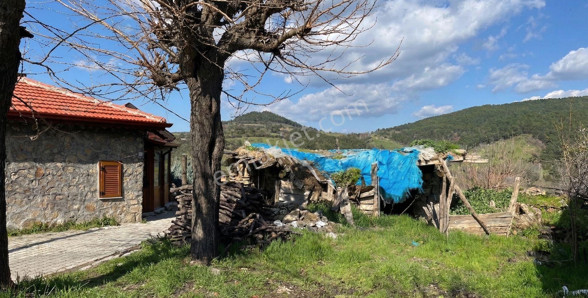 Bayramiç Toluklar Köyünde Satılık Bahçeli Kargir Ev