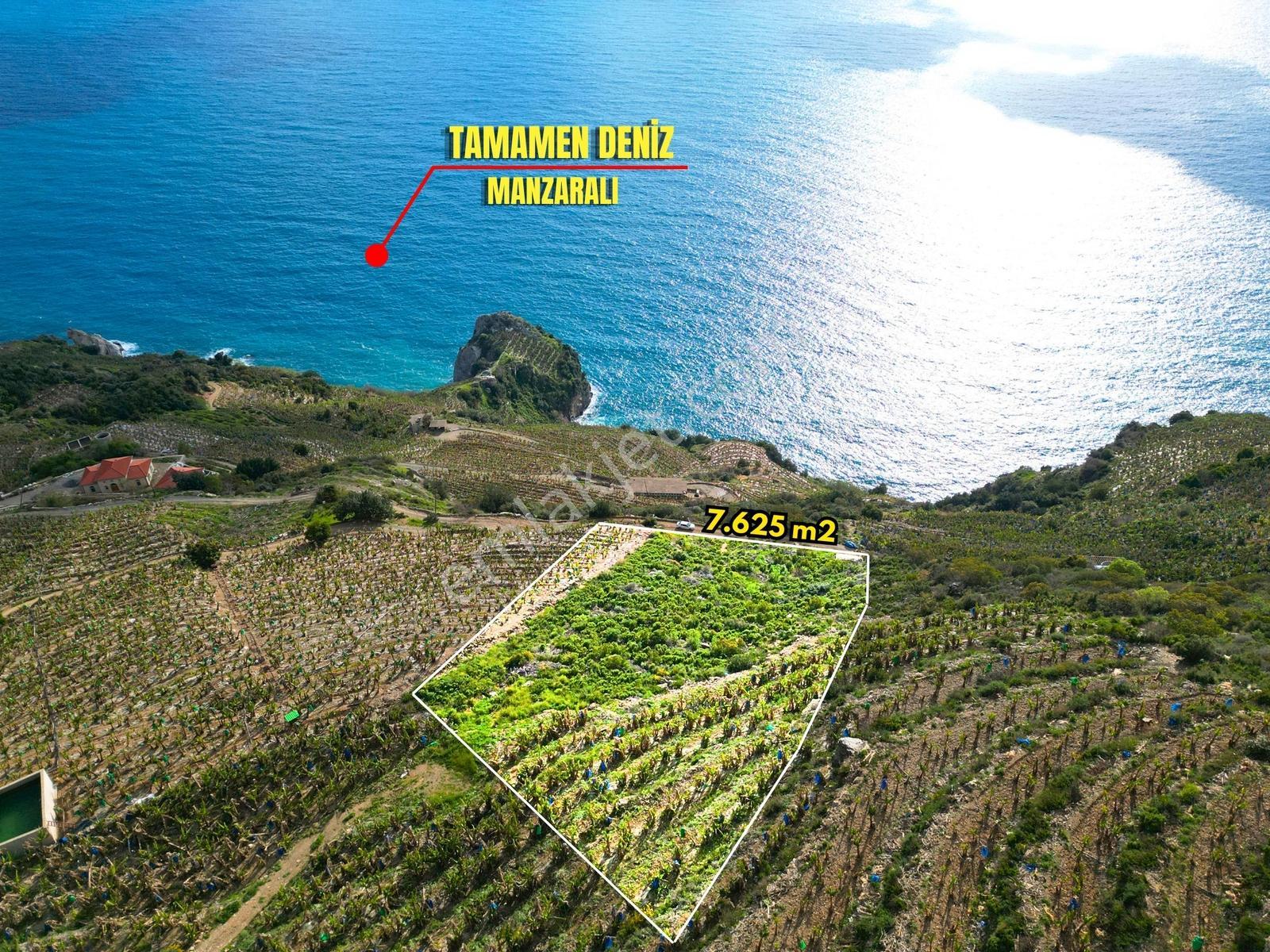 Gazipaşa Muzkent'te Denize 250 M Yakın 7.625 M² Verimli Tarla - Görsel 3