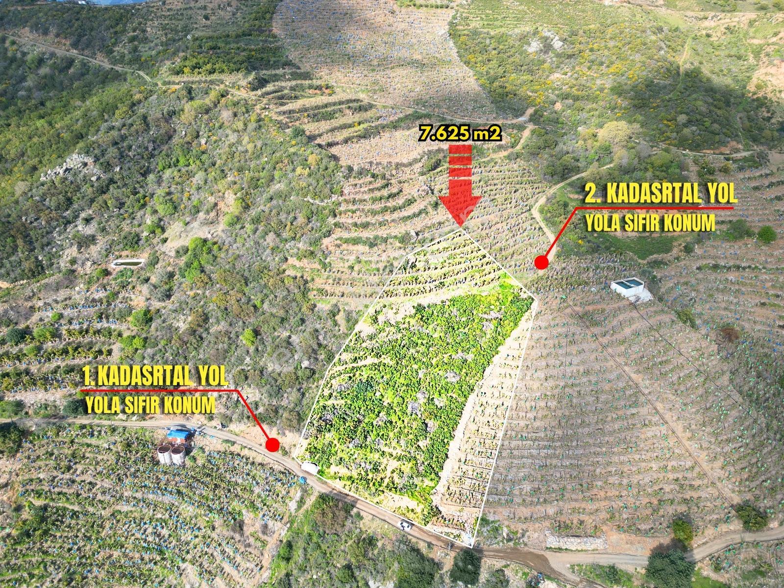 Gazipaşa Muzkent'te Denize 250 M Yakın 7.625 M² Verimli Tarla - Görsel 7