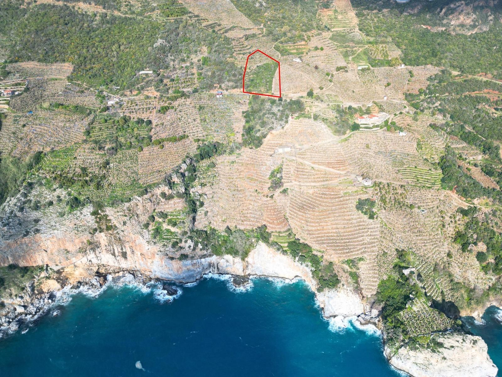 Gazipaşa Muzkent'te Denize 250 M Yakın 7.625 M² Verimli Tarla - Görsel 28