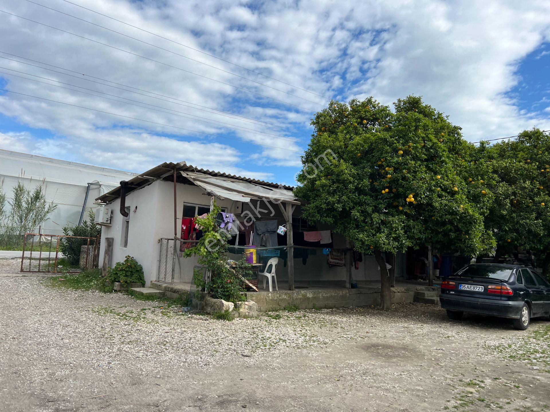 Antalya Manavgat Çakış Mahallesi Satılık Narenciye Bahçesi - Görsel 35