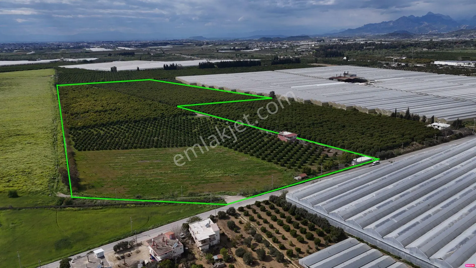 Antalya Manavgat Çakış Mahallesi Satılık Narenciye Bahçesi - Görsel 4