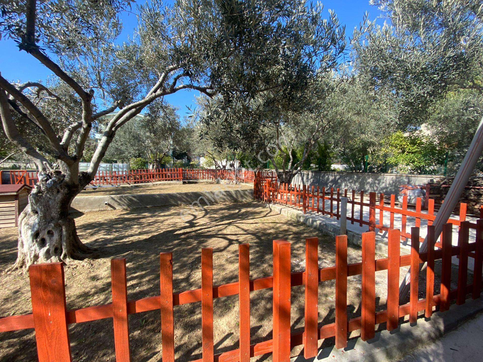 Altınoluk İlkbaharda Denize Yakın 1350m2 Arsa İçinde Emsalsiz Çiftlik Evi - Görsel 34