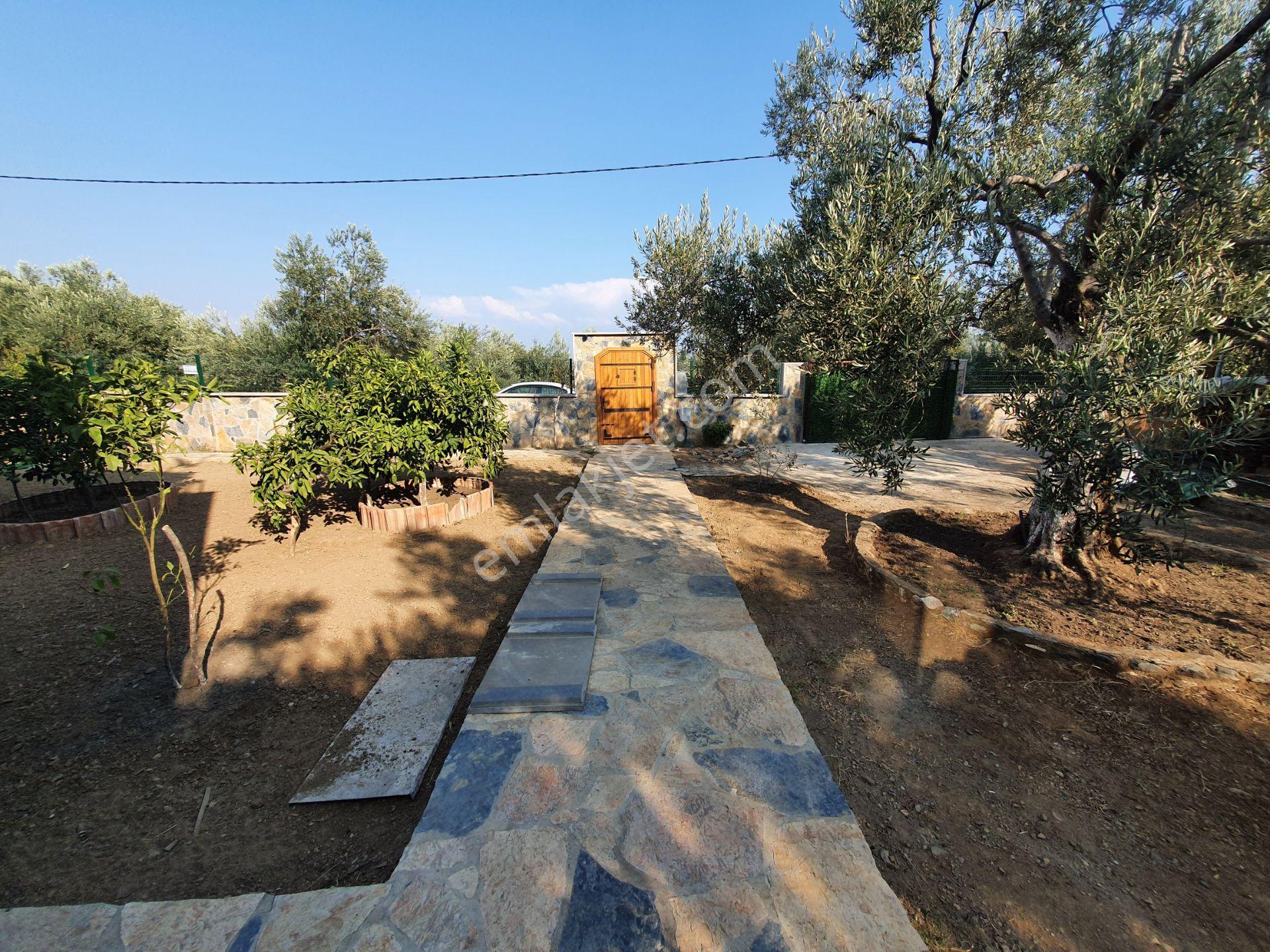 Altınoluk İlkbaharda Denize Yakın 1350m2 Arsa İçinde Emsalsiz Çiftlik Evi - Görsel 26