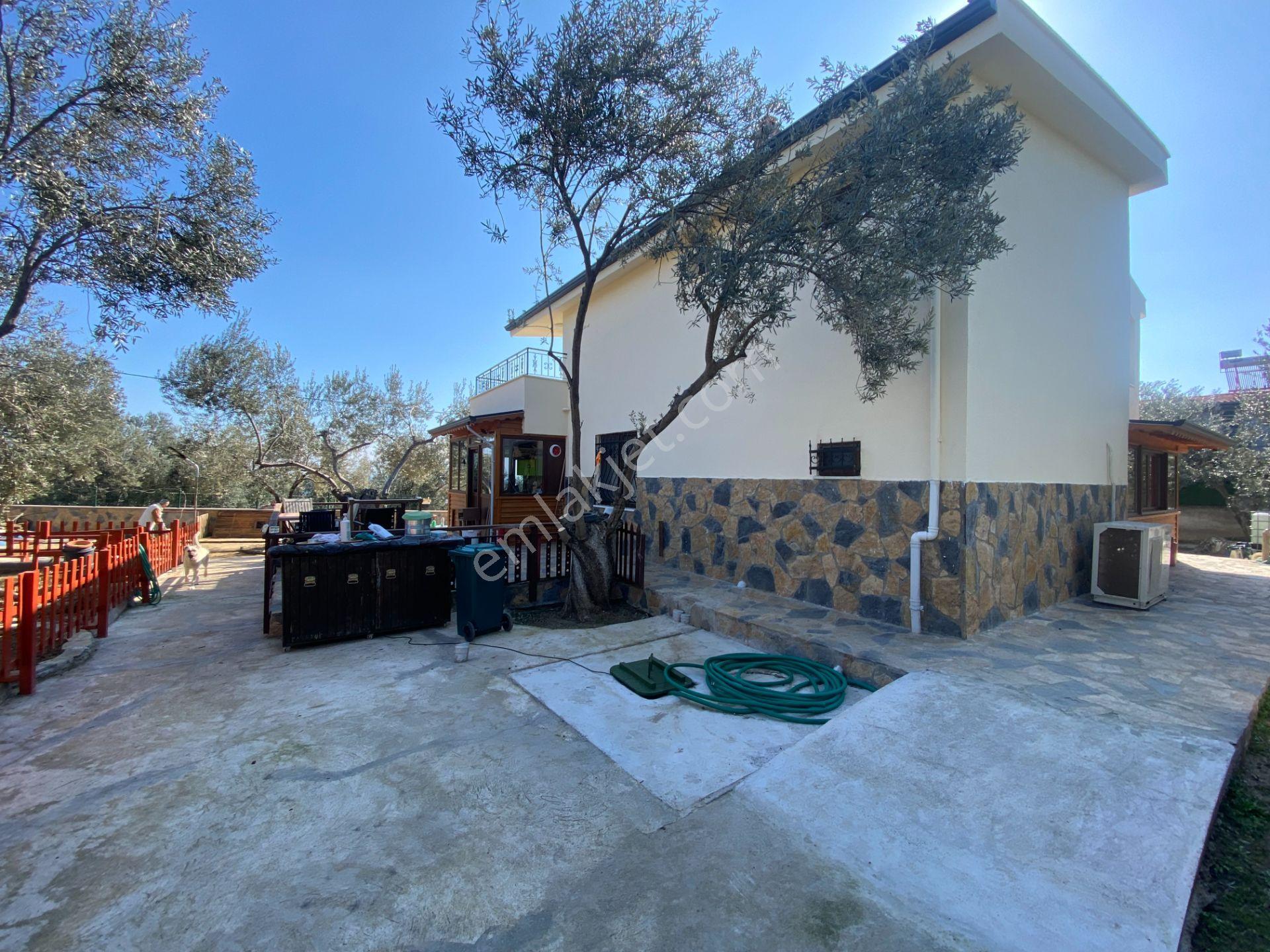Altınoluk İlkbaharda Denize Yakın 1350m2 Arsa İçinde Emsalsiz Çiftlik Evi - Görsel 36