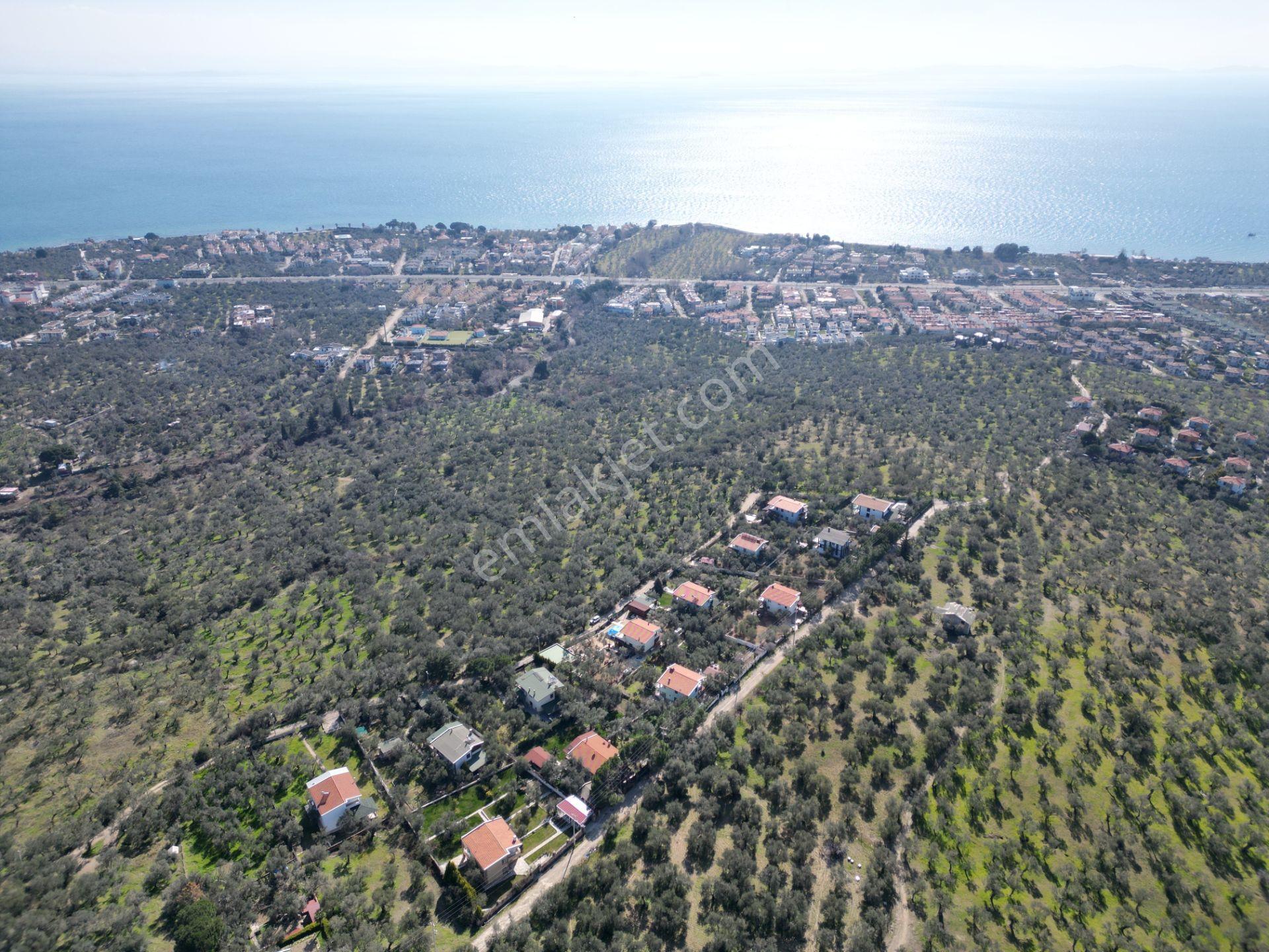 Altınoluk İlkbaharda Denize Yakın 1350m2 Arsa İçinde Emsalsiz Çiftlik Evi - Görsel 27