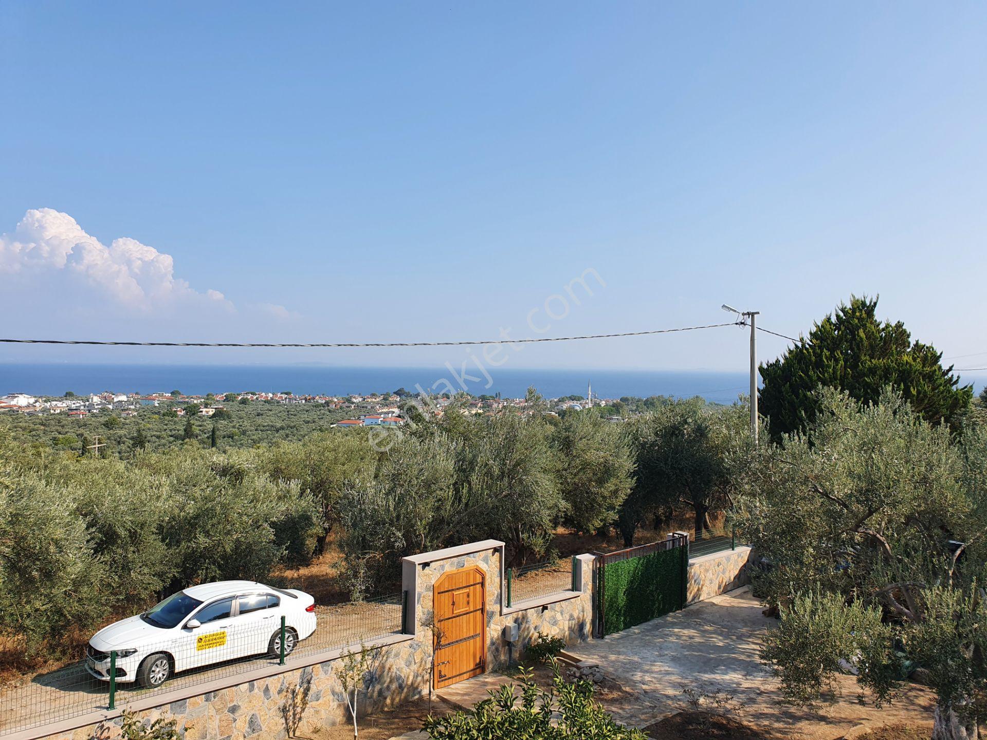 Altınoluk İlkbaharda Denize Yakın 1350m2 Arsa İçinde Emsalsiz Çiftlik Evi - Görsel 22