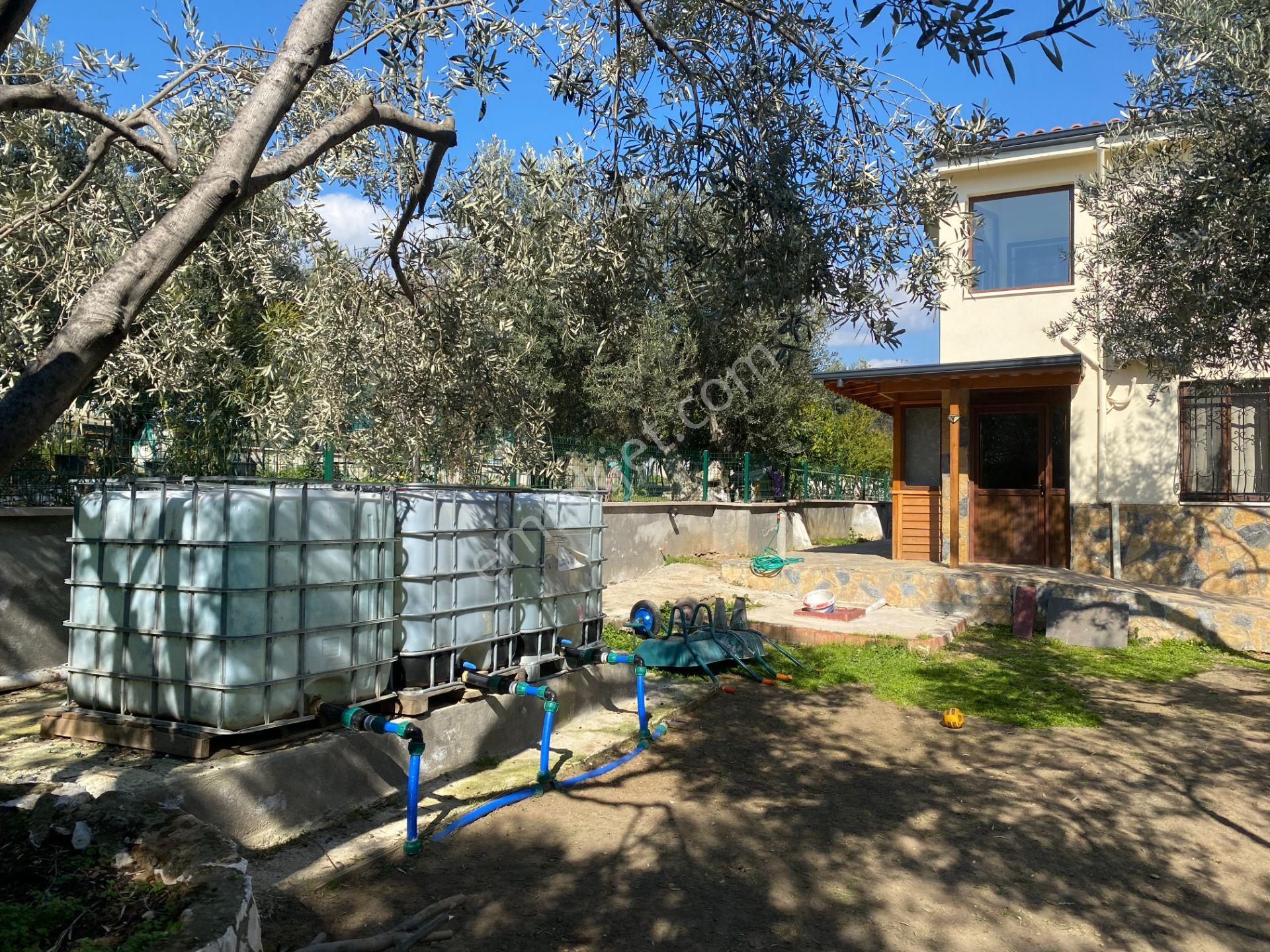 Altınoluk İlkbaharda Denize Yakın 1350m2 Arsa İçinde Emsalsiz Çiftlik Evi - Görsel 39