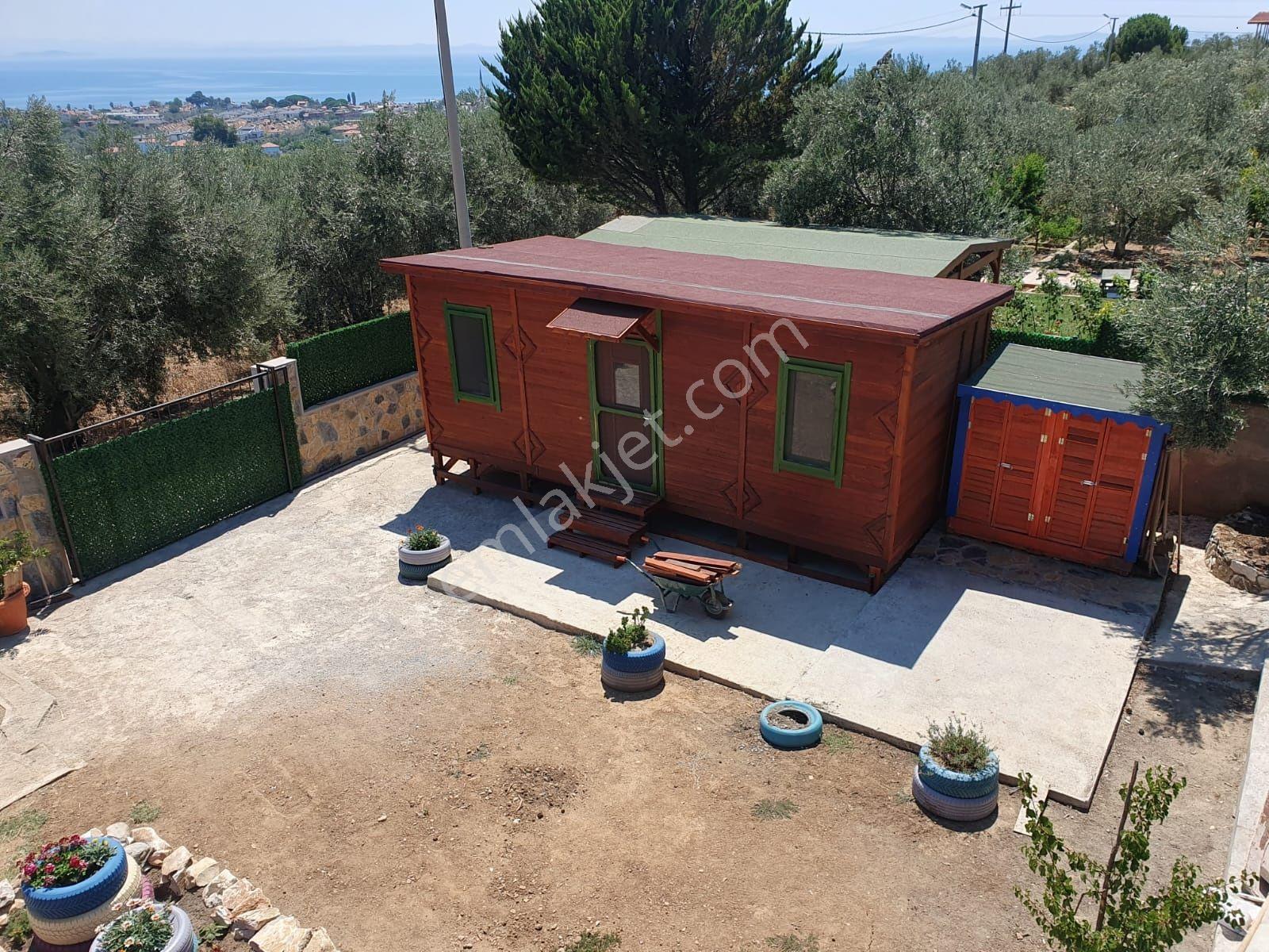 Altınoluk İlkbaharda Denize Yakın 1350m2 Arsa İçinde Emsalsiz Çiftlik Evi - Görsel 31