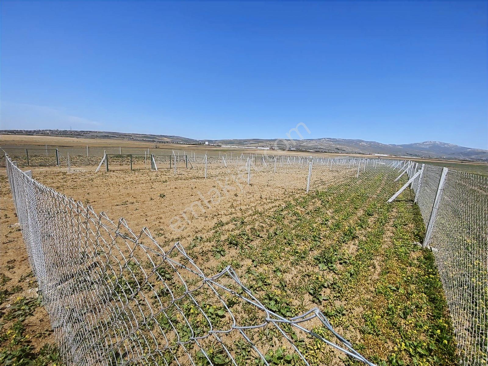 Akdağ Emlaktan 250 Metre Telle Çevrili Fırsat Hobi Bahçeleri - Görsel 31