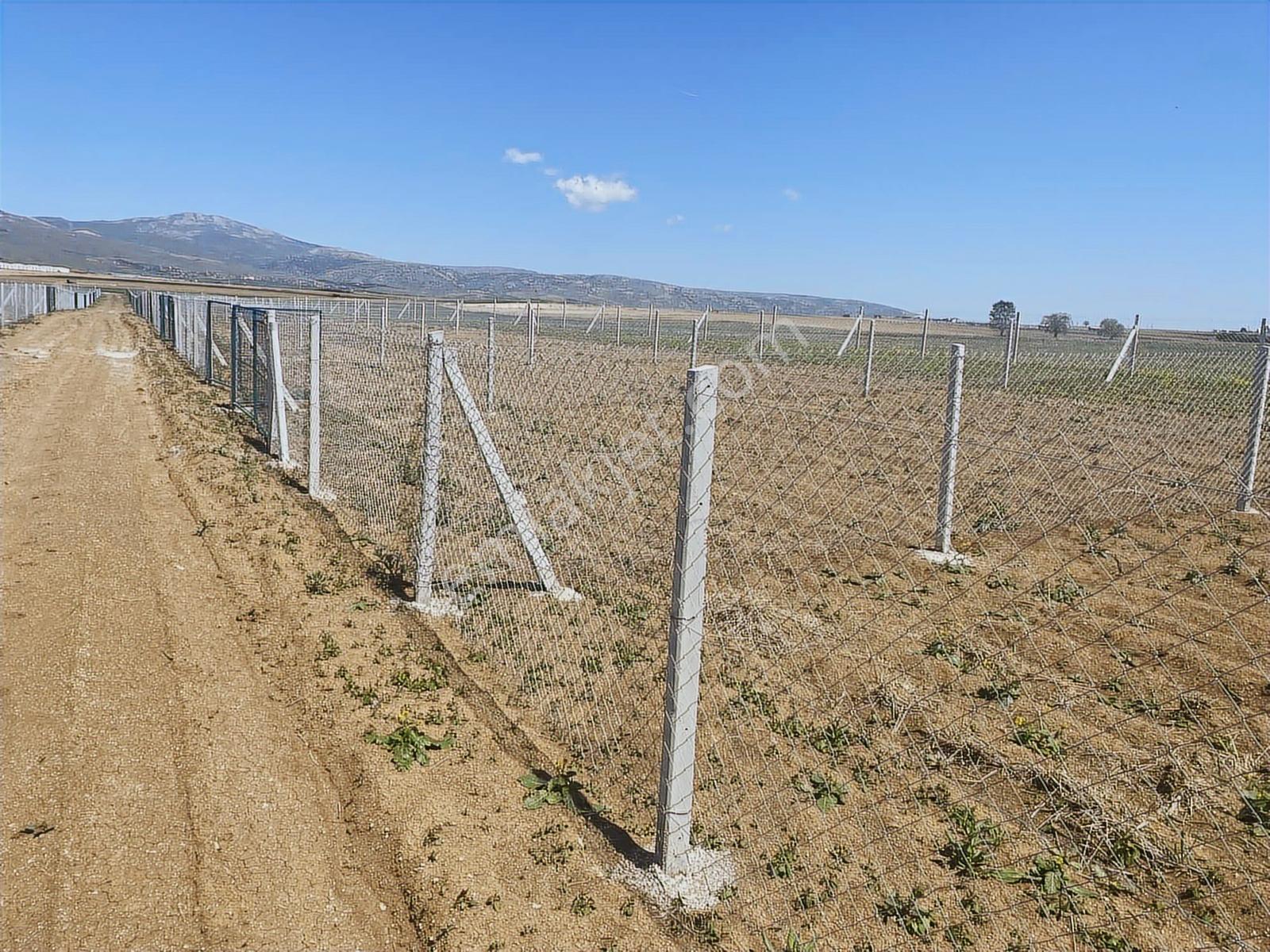 Akdağ Emlaktan 250 Metre Telle Çevrili Fırsat Hobi Bahçeleri - Görsel 18