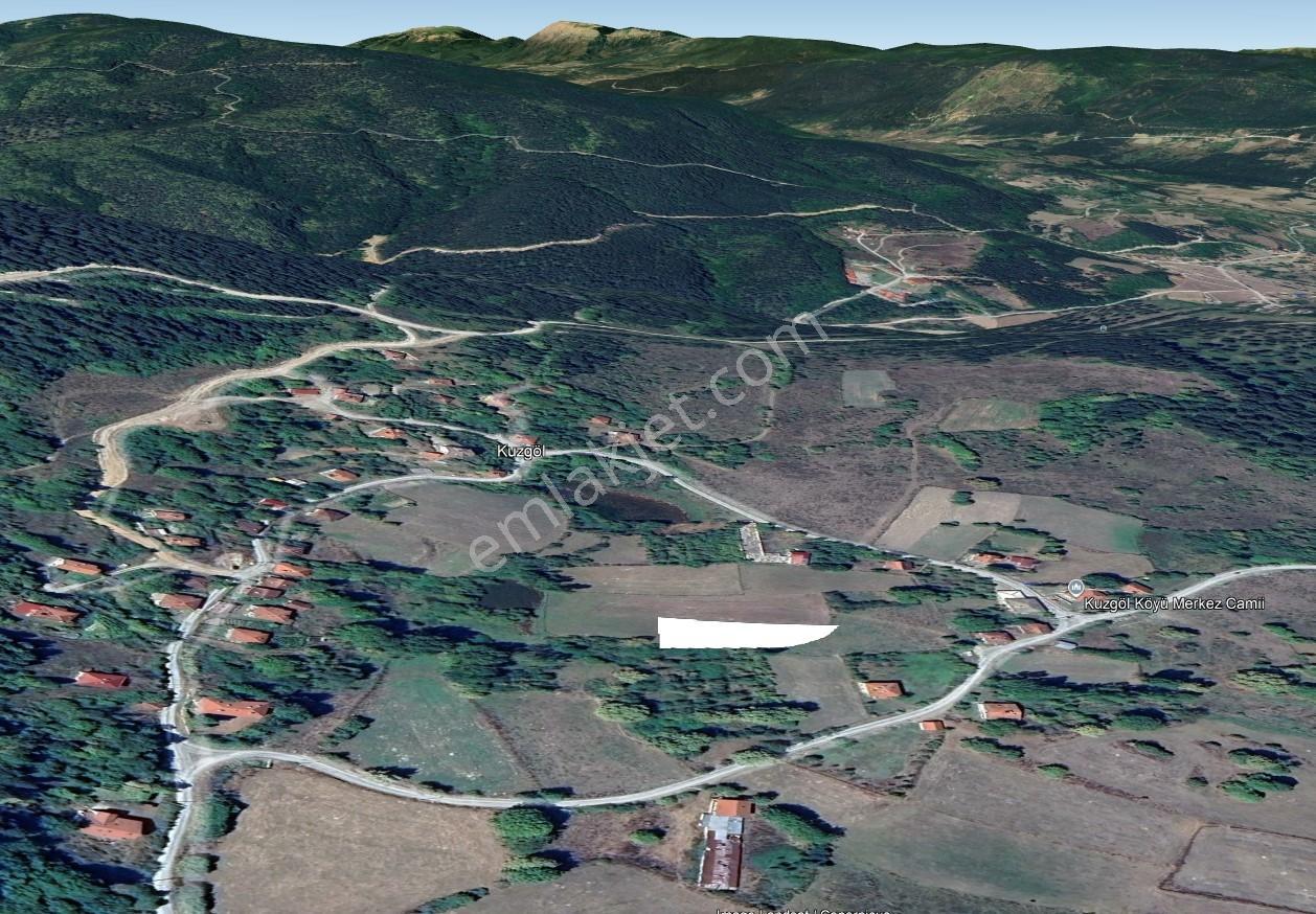 Mengen Kuzgöl Köyü Merkez Konum Satılık 2 Dönüm Tarla - Görsel 5