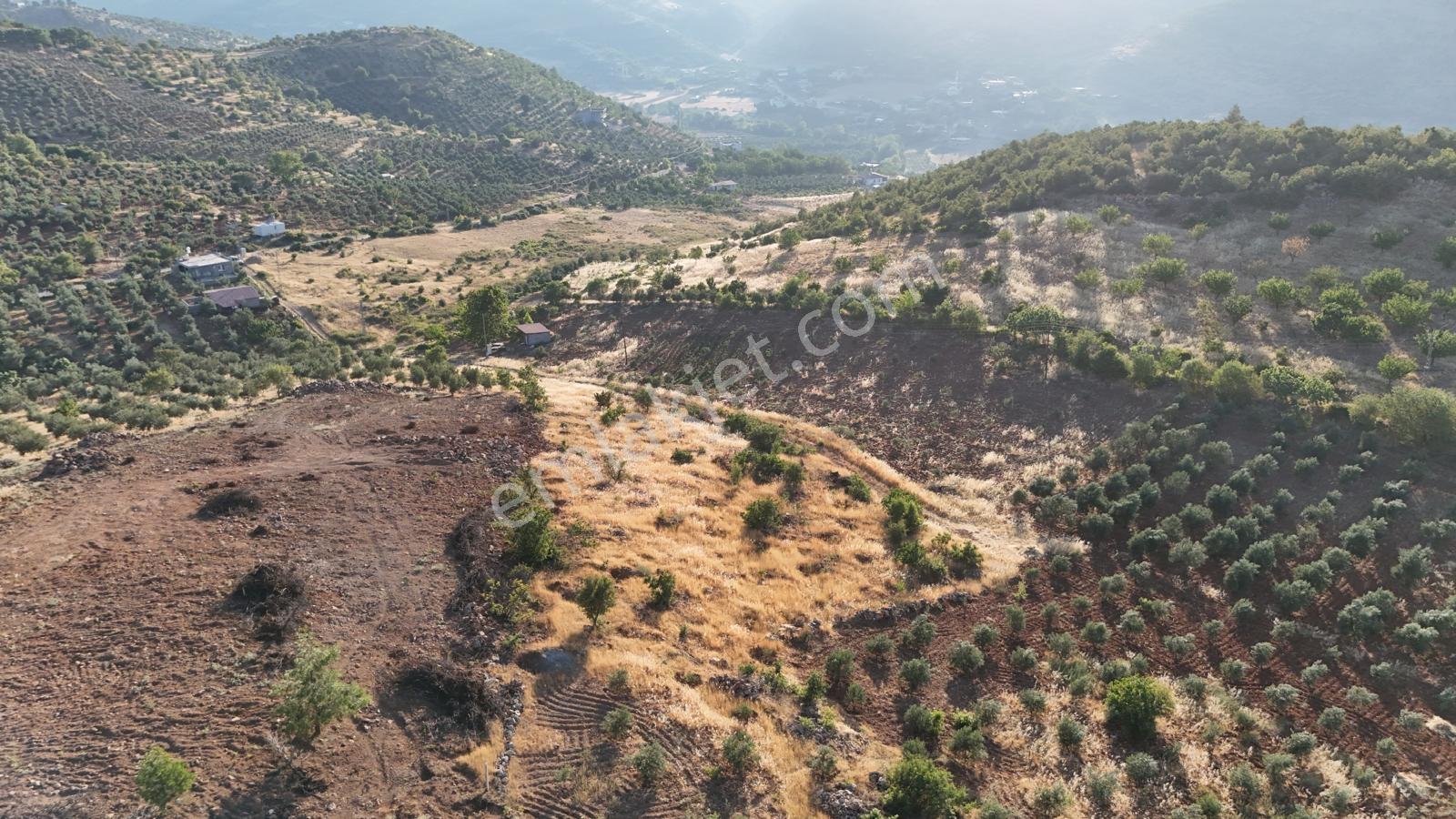 Cb'den Yeşilyörede (3035m2) Tarla