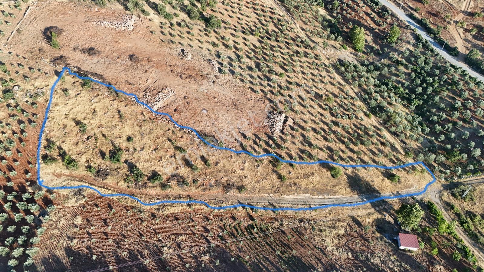 Cb'den Yeşilyörede (3035m2) Tarla - Görsel 7