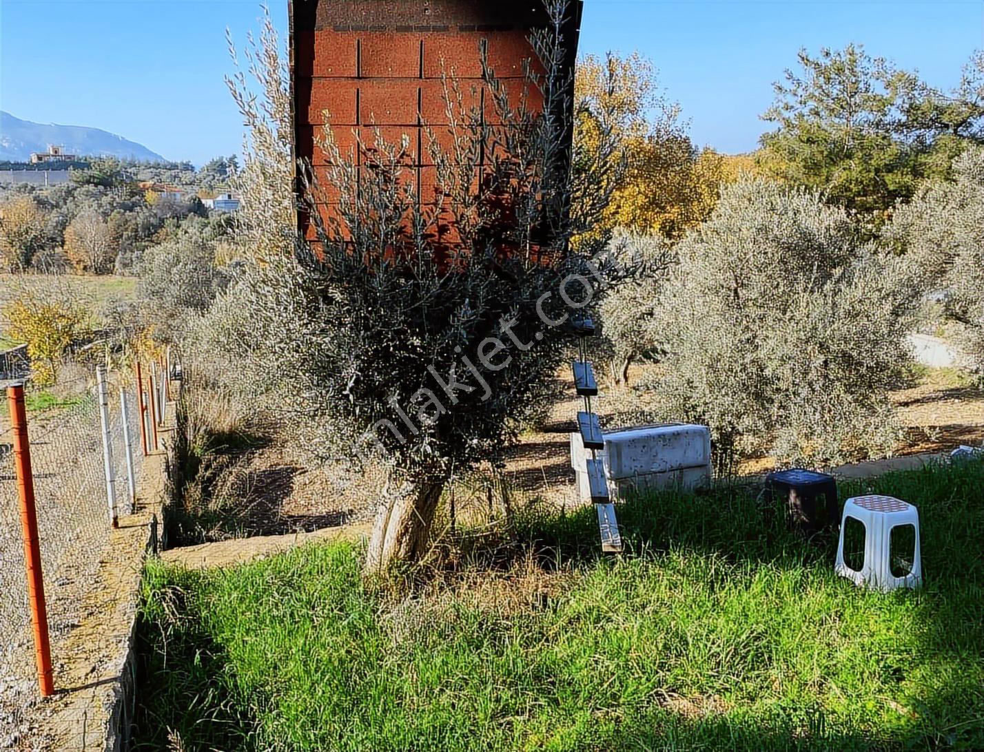 Kemalpaşa Nazarköy'de Müstakil Tapulu 845 M² Arazi - Görsel 3