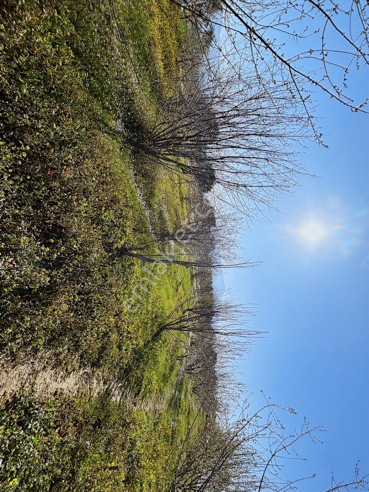 Aşağıkızılca Da Asfalt Yola Cepheli Bahçe Satılık - Görsel 9