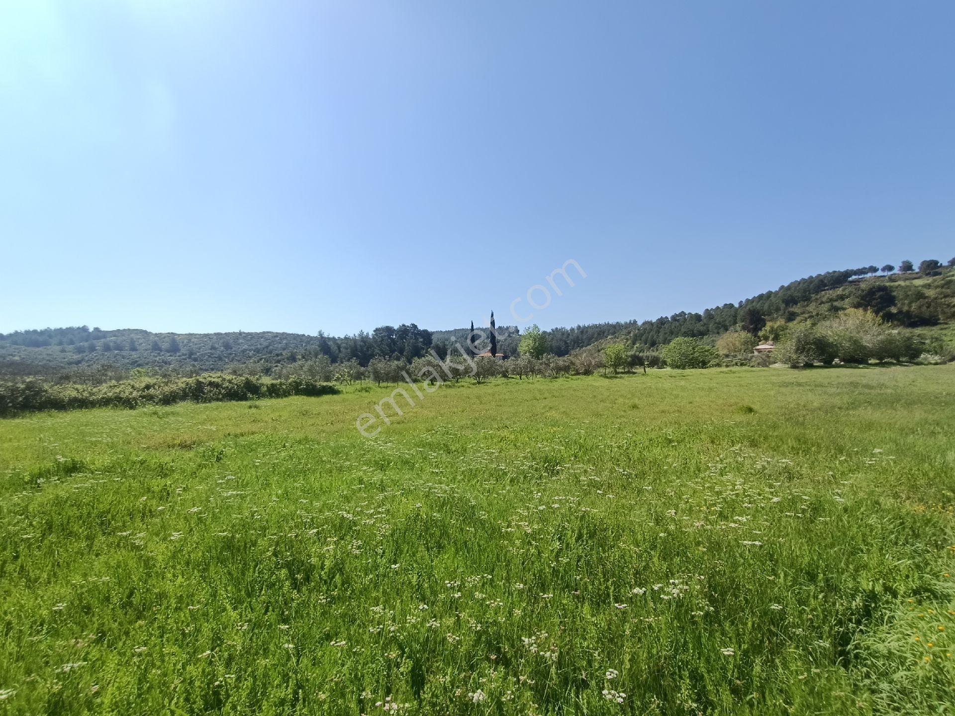 Acil Satılık Aşağıl'da Manavgat/antalya Yoluna 50 Metre 1690 M2 Turizm + Konut İmarlı Arsa Hissesi - Görsel 6