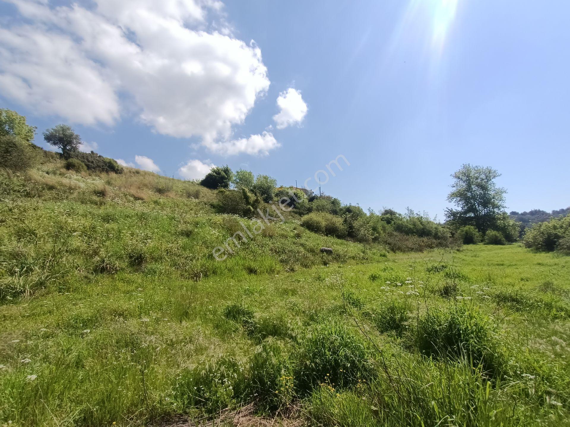Acil Satılık Aşağıl'da Manavgat/antalya Yoluna 50 Metre 1690 M2 Turizm + Konut İmarlı Arsa Hissesi - Görsel 17
