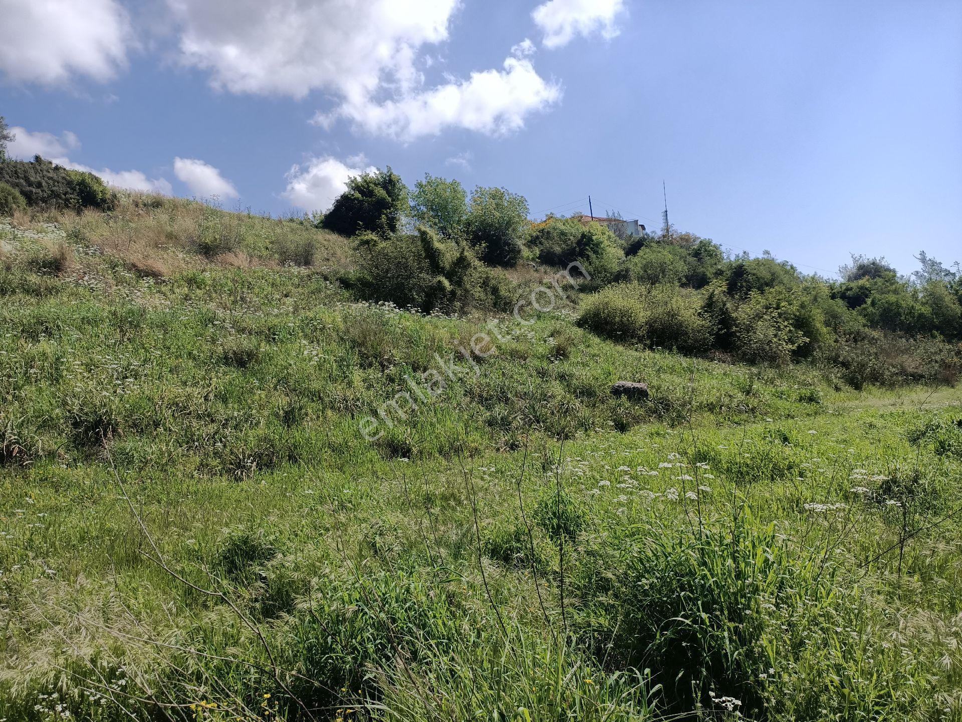 Acil Satılık Aşağıl'da Manavgat/antalya Yoluna 50 Metre 1690 M2 Turizm + Konut İmarlı Arsa Hissesi - Görsel 5