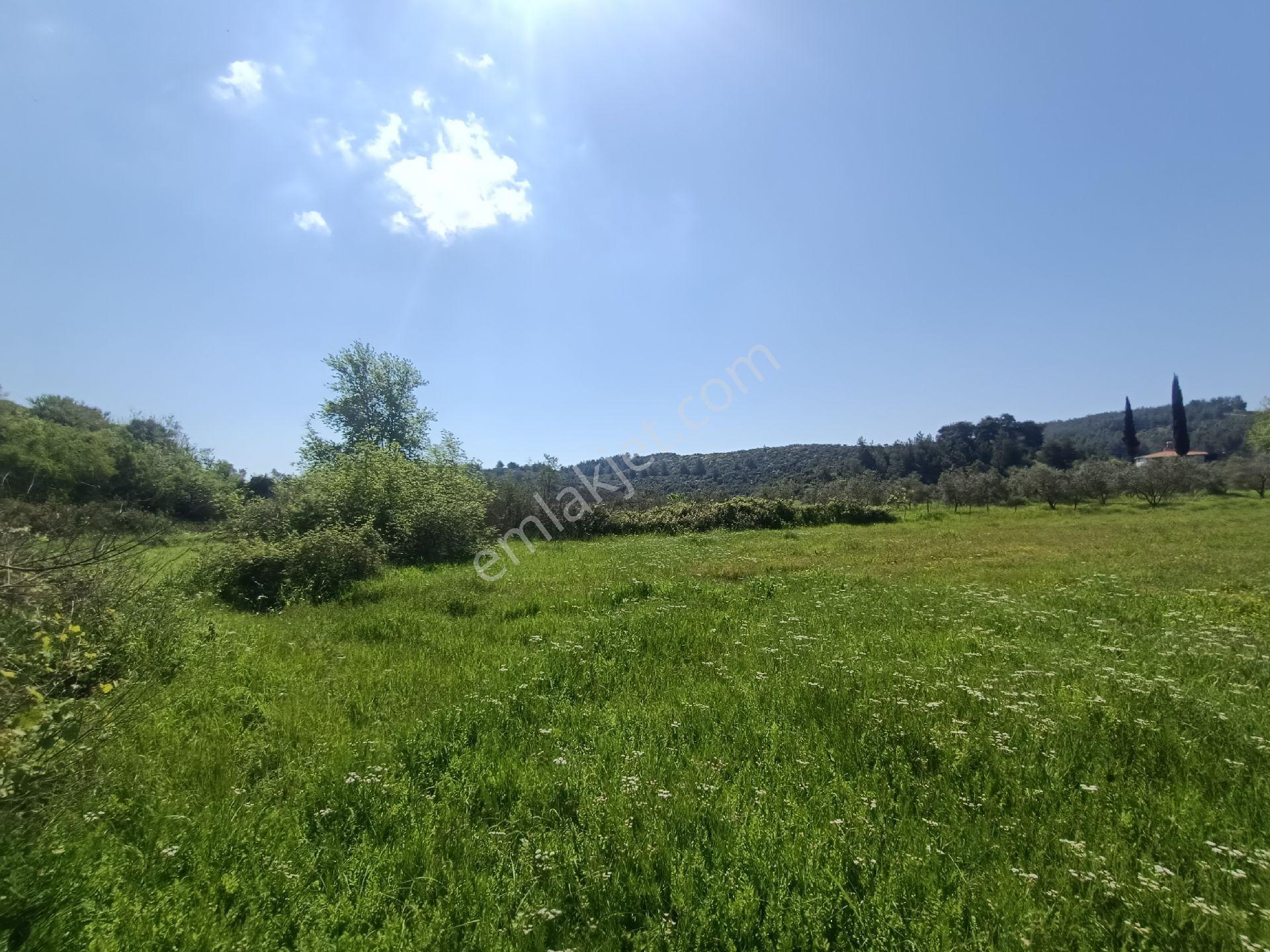 Acil Satılık Aşağıl'da Manavgat/antalya Yoluna 50 Metre 1690 M2 Turizm + Konut İmarlı Arsa Hissesi - Görsel 12