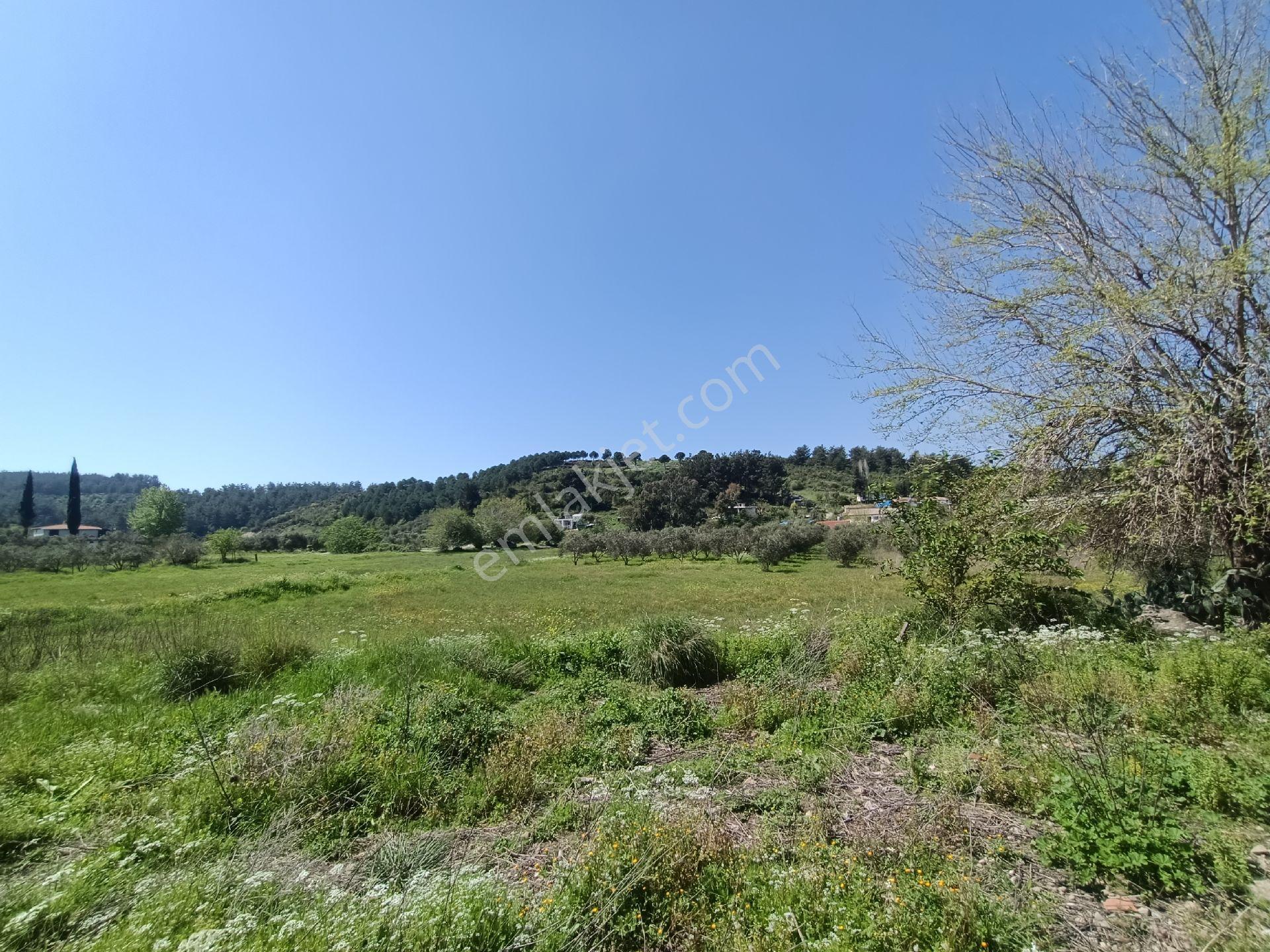 Acil Satılık Aşağıl'da Manavgat/antalya Yoluna 50 Metre 1690 M2 Turizm + Konut İmarlı Arsa Hissesi - Görsel 19