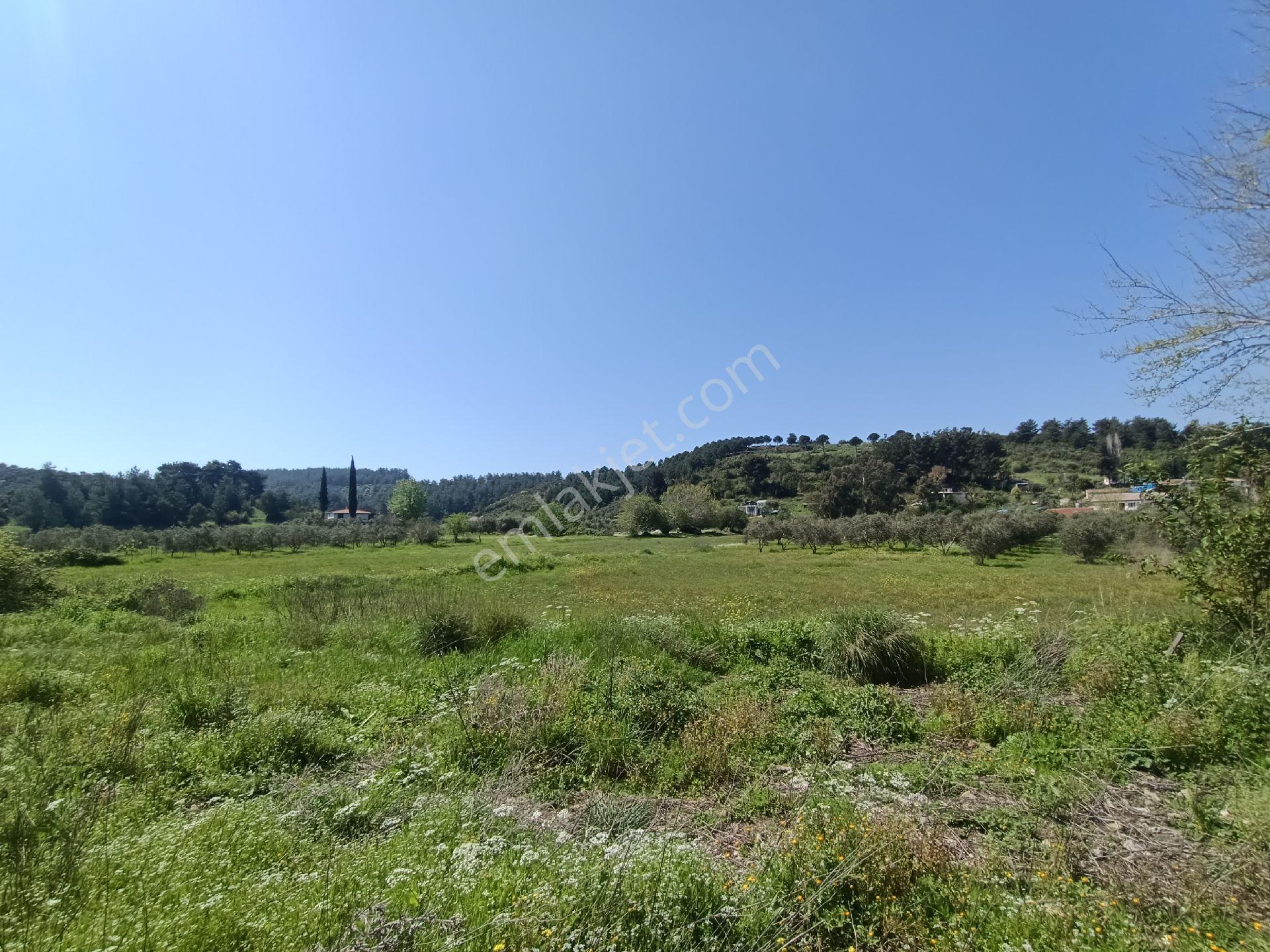 Acil Satılık Aşağıl'da Manavgat/antalya Yoluna 50 Metre 1690 M2 Turizm + Konut İmarlı Arsa Hissesi - Görsel 18