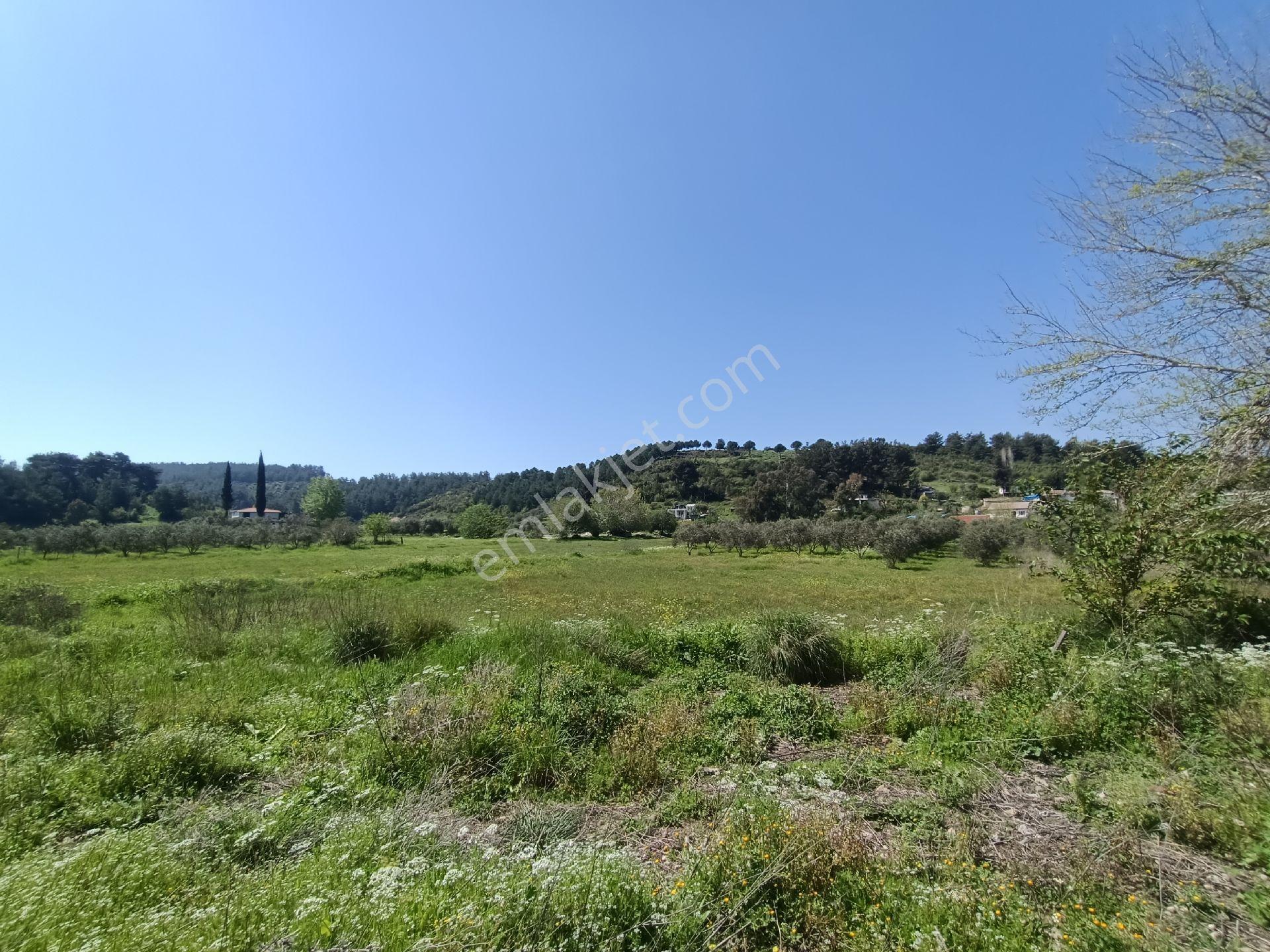 Acil Satılık Aşağıl'da Manavgat/antalya Yoluna 50 Metre 1690 M2 Turizm + Konut İmarlı Arsa Hissesi - Görsel 22