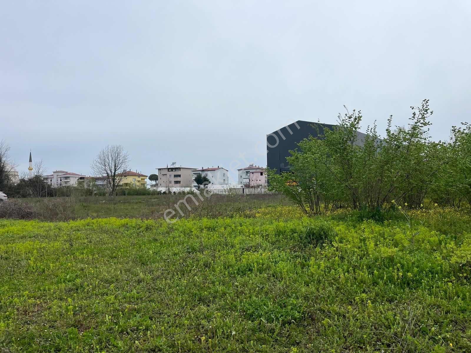 Hanife'den Samsun Çarşamba'da Fiyat Avantajlı Satılık Arsa - Görsel 7