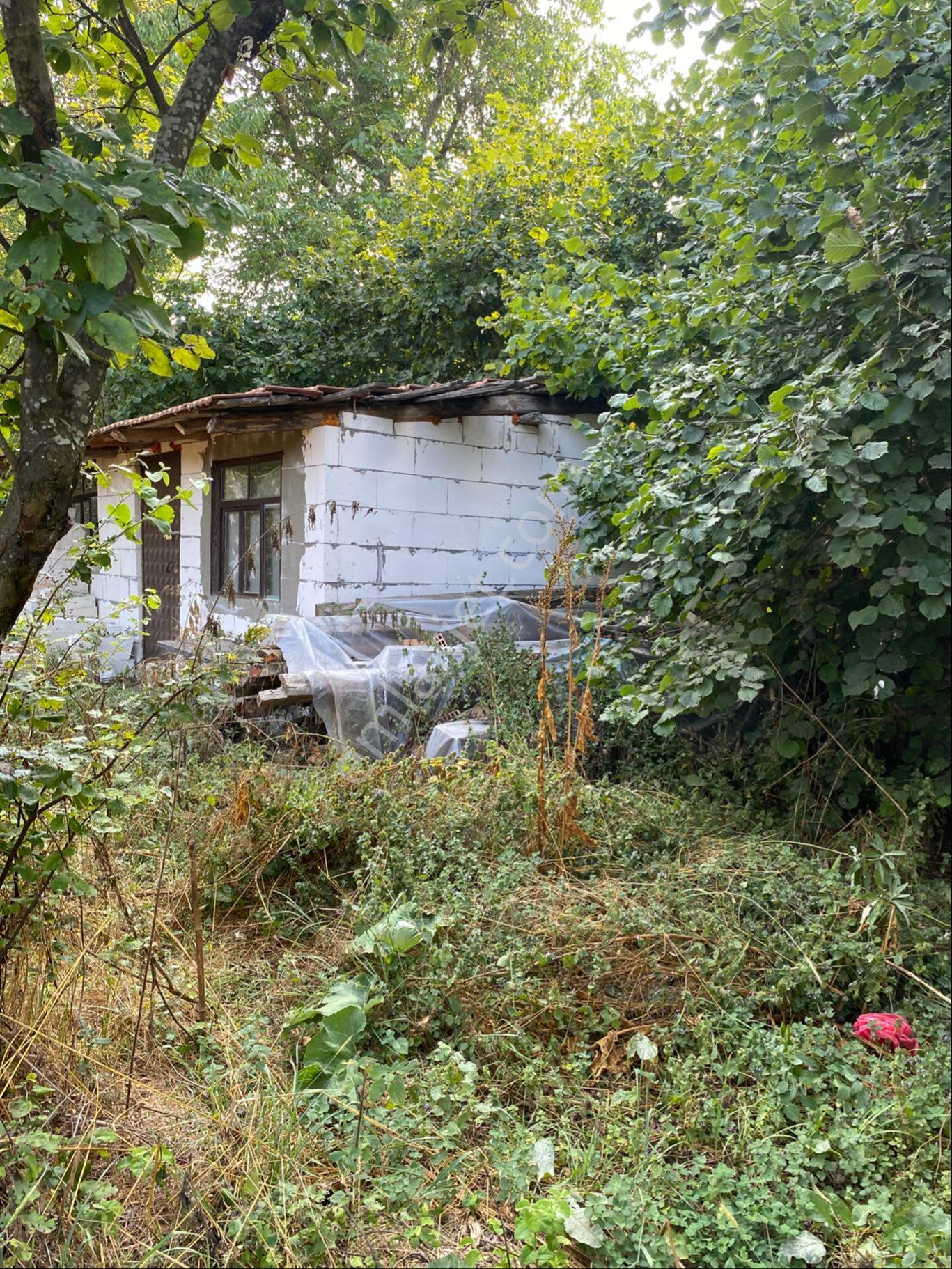 Bolu Mudurnuda Dağ Evi.tek Tapu. - Görsel 2
