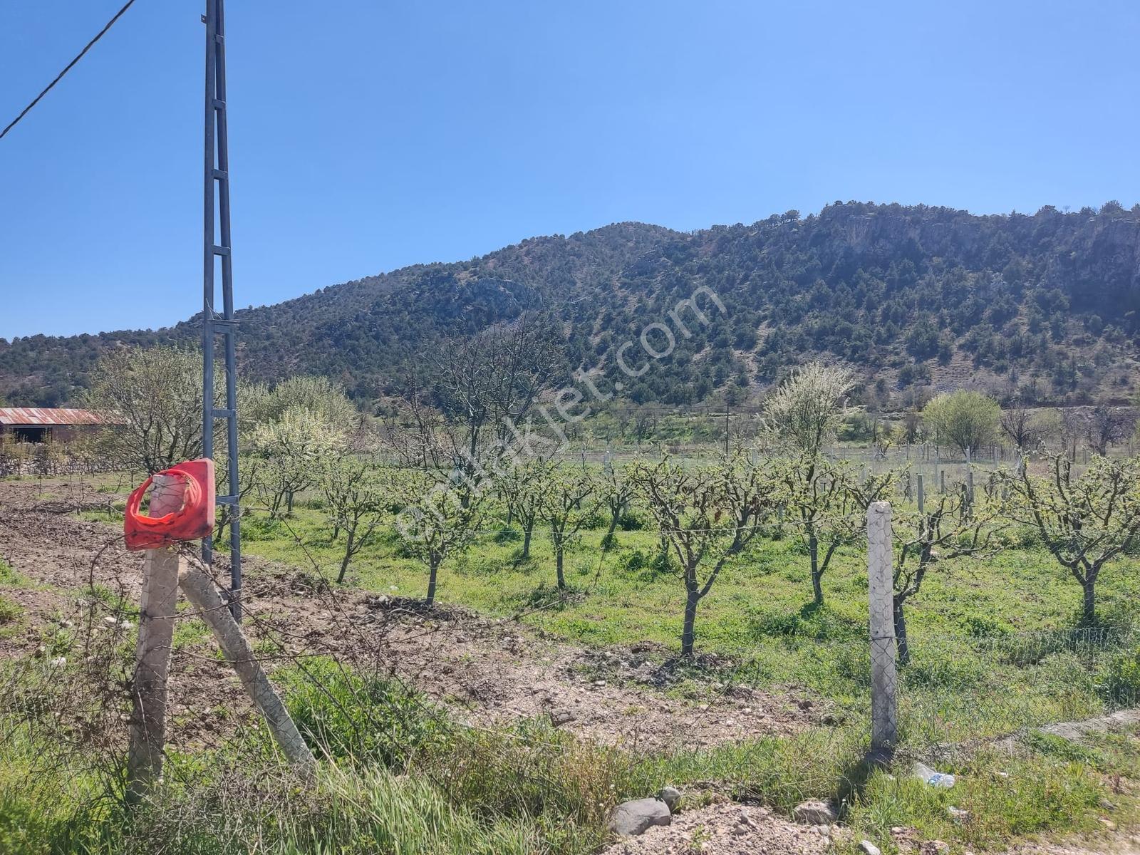 İstanbul Yolu Kenarı Akören (hacıhasan)'da Müstakil Ev Bahçe - Görsel 32