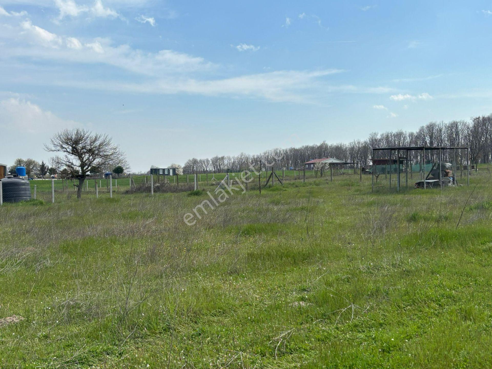 Güven'den Saray'da 766m² Tek Tapu Tel İle Çevrili Tarla !!!!!! - Görsel 34