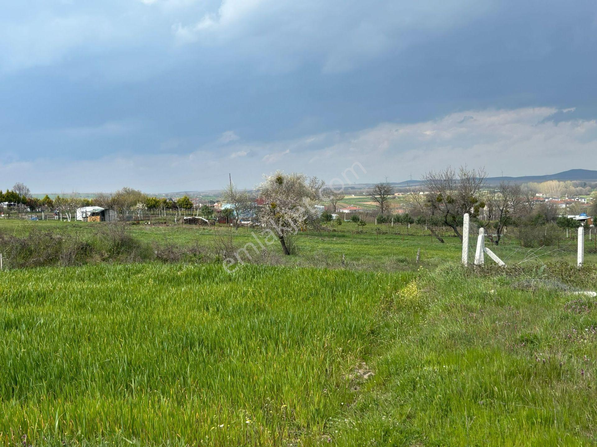 Güven'den Saray'da 766m² Tek Tapu Tel İle Çevrili Tarla !!!!!! - Görsel 35
