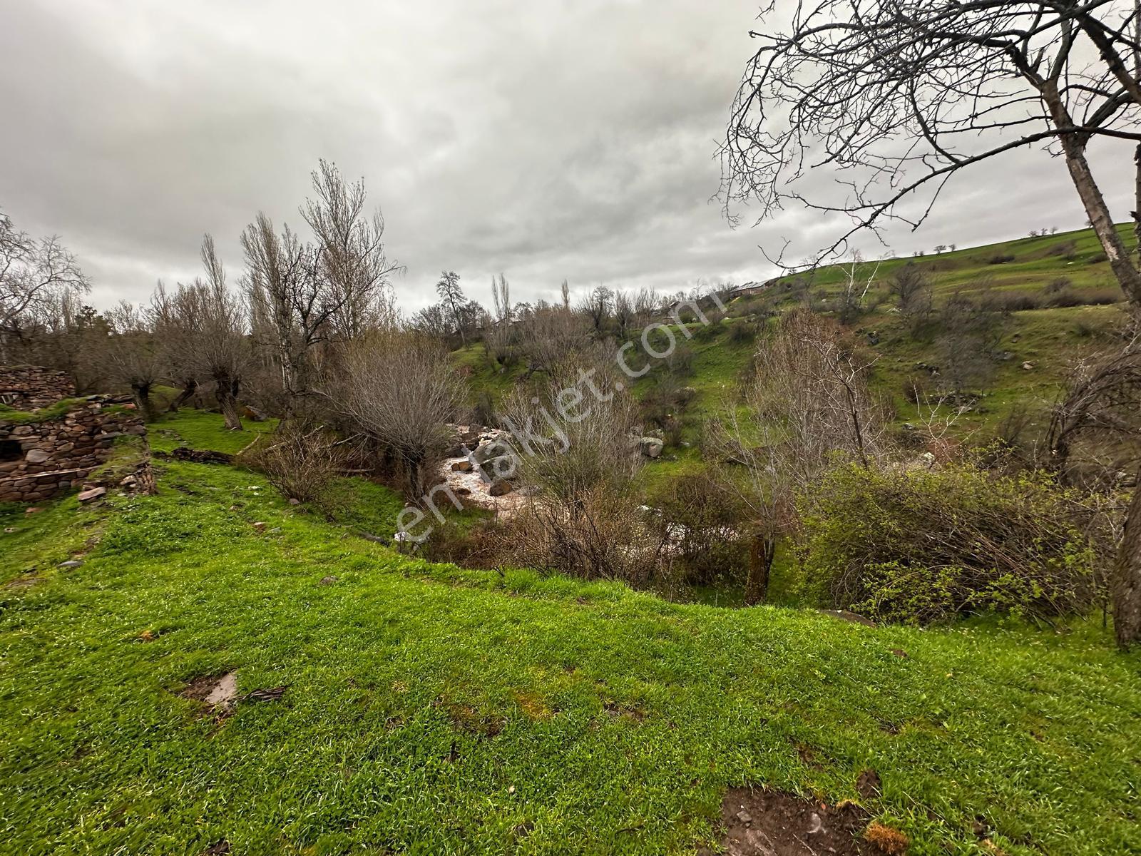 Giresun Şebinkarahisar'da Satılık Arazi - Görsel 7