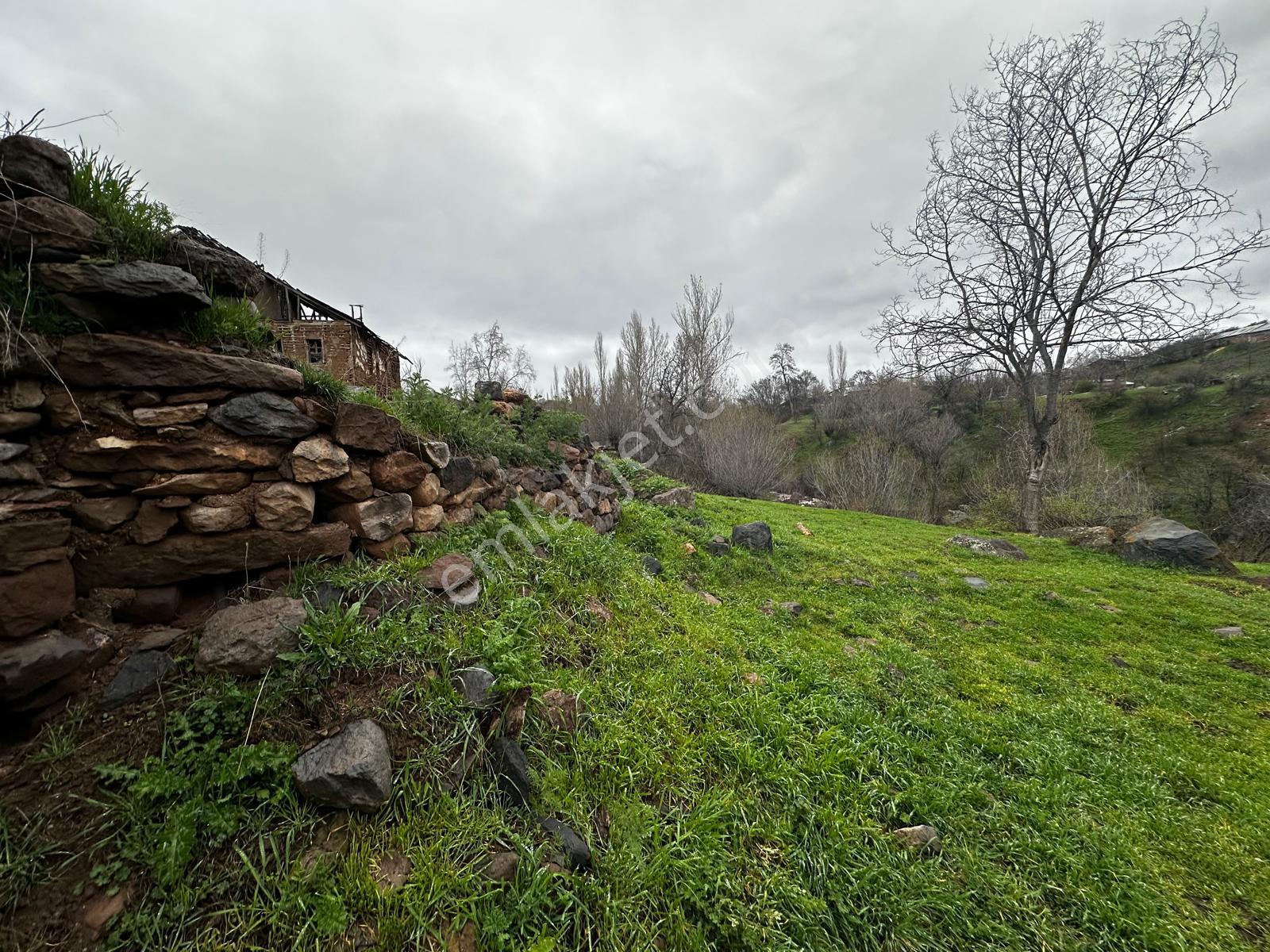 Giresun Şebinkarahisar'da Satılık Arazi - Görsel 2