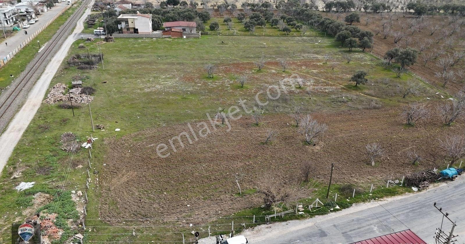 Ortaklar Merkezde Satılık Imara Yakın Tarla - Görsel 4