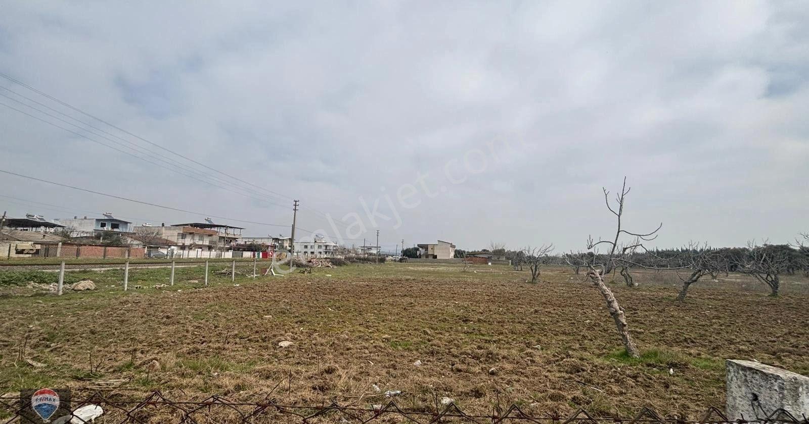 Ortaklar Merkezde Satılık Imara Yakın Tarla - Görsel 2