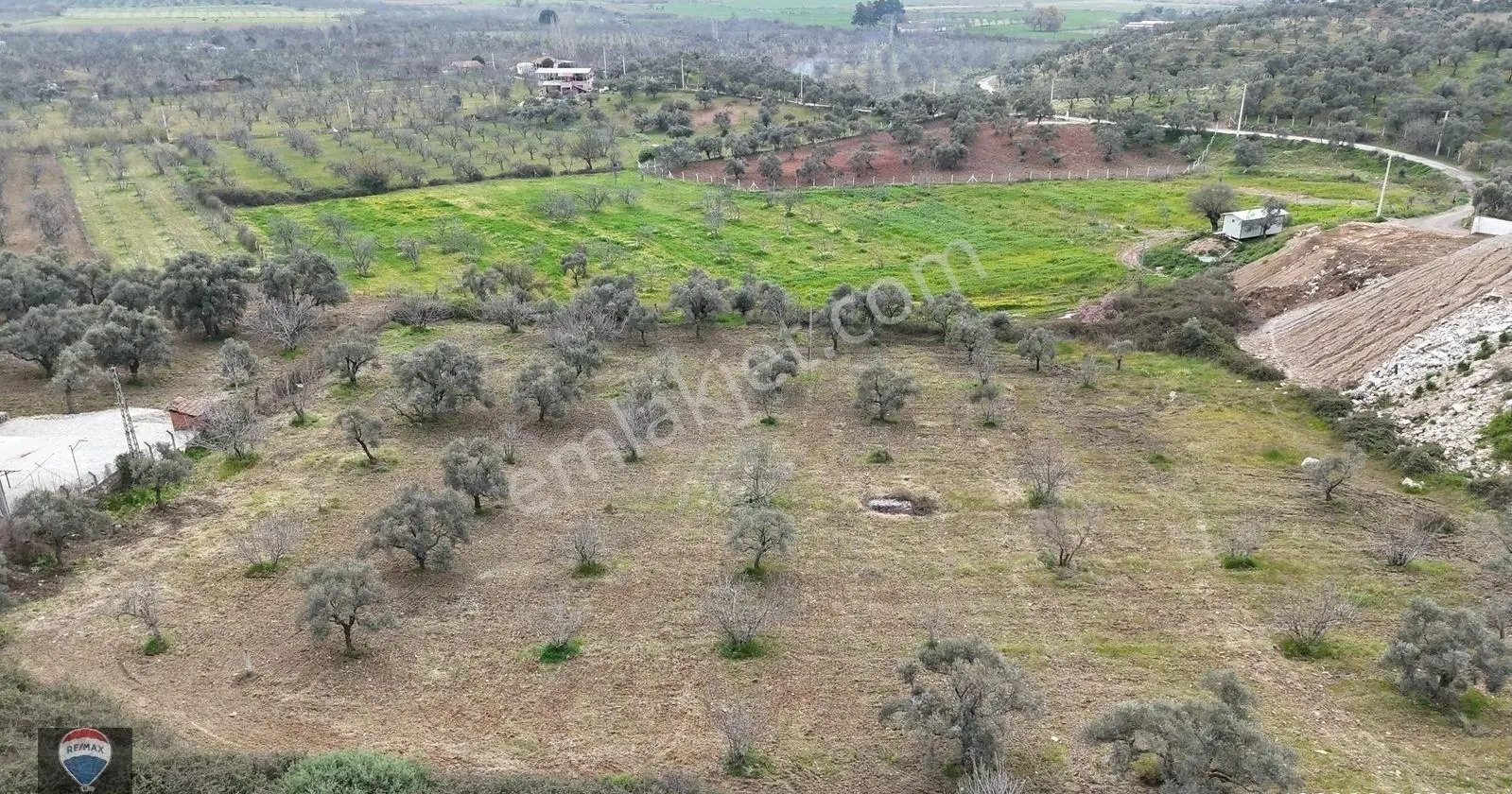 Ortaklar'da Izmır Yolu Üzerınde Satılık Incır Ve Zeytın Bahçesı - Görsel 5
