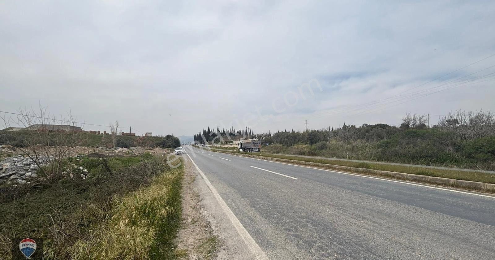 Ortaklar'da Izmır Yolu Üzerınde Satılık Incır Ve Zeytın Bahçesı - Görsel 6