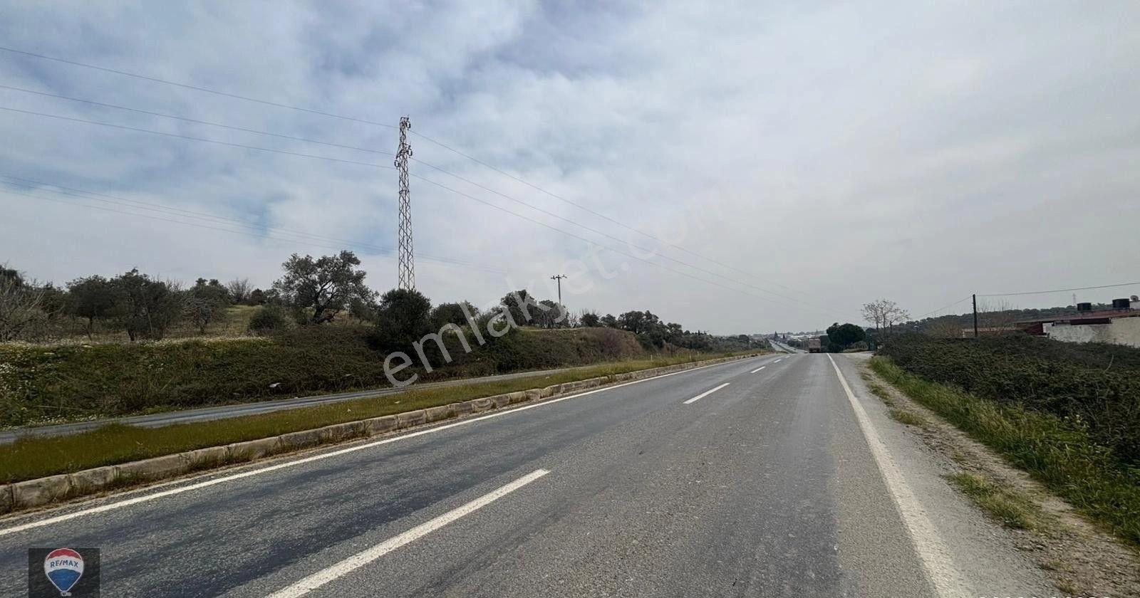 Ortaklar'da Izmır Yolu Üzerınde Satılık Incır Ve Zeytın Bahçesı - Görsel 2
