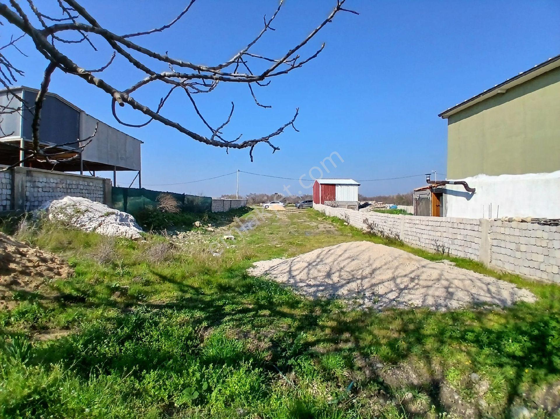 Hipotez'den Mesudiye'de Tek Tapu Deniz Manzaralı Satılık Tarla - Görsel 3