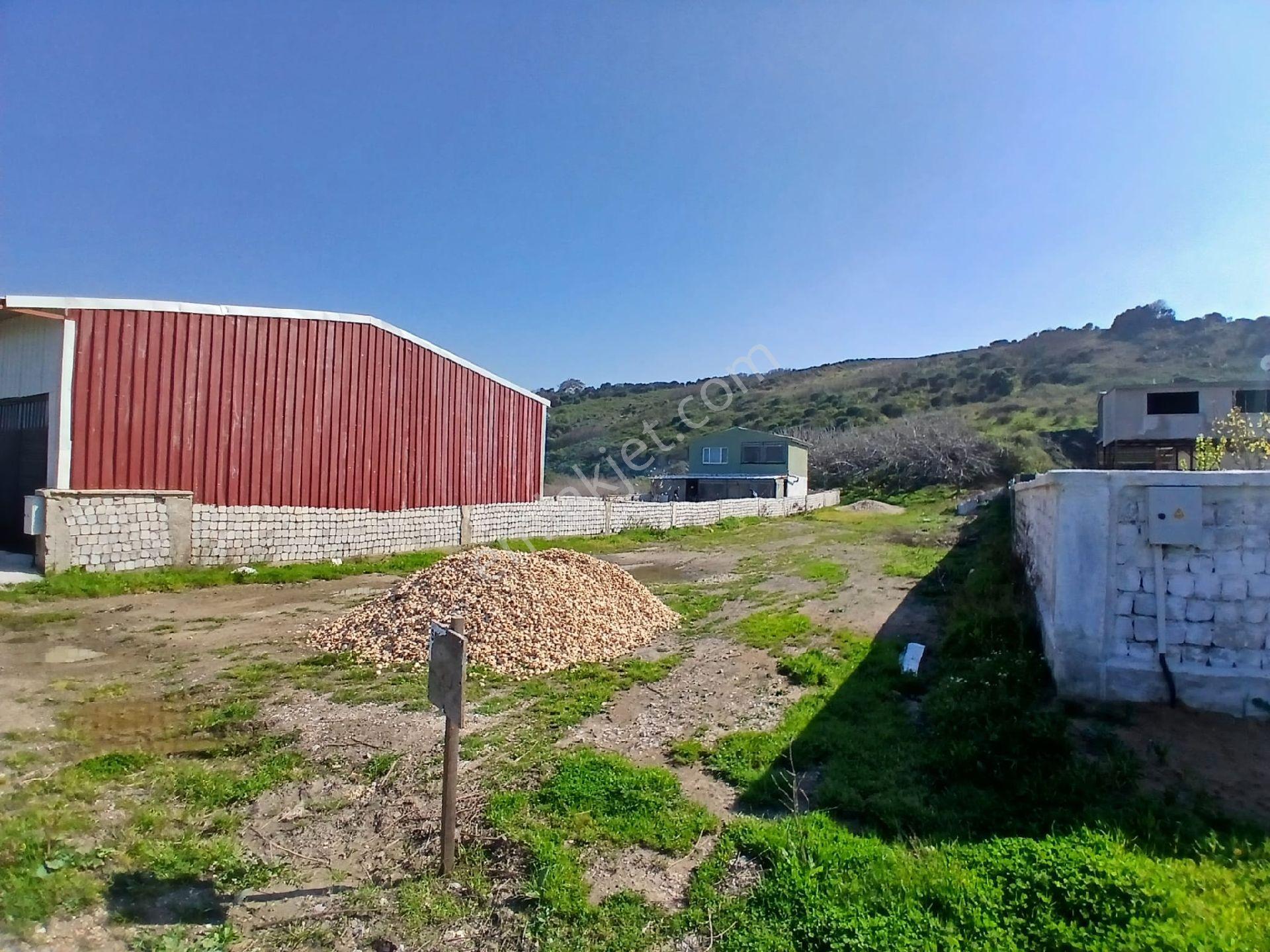 Hipotez'den Mesudiye'de Tek Tapu Deniz Manzaralı Satılık Tarla - Görsel 7