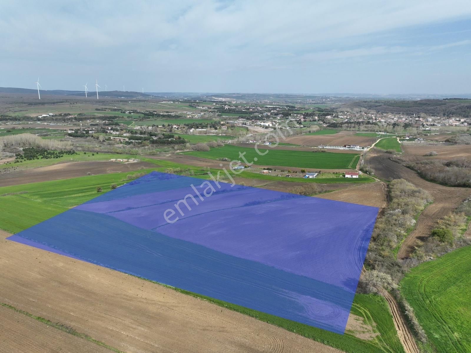 Çatalca İnceğizde Satılık 1125 Metre Çaplı Tarla - Görsel 7