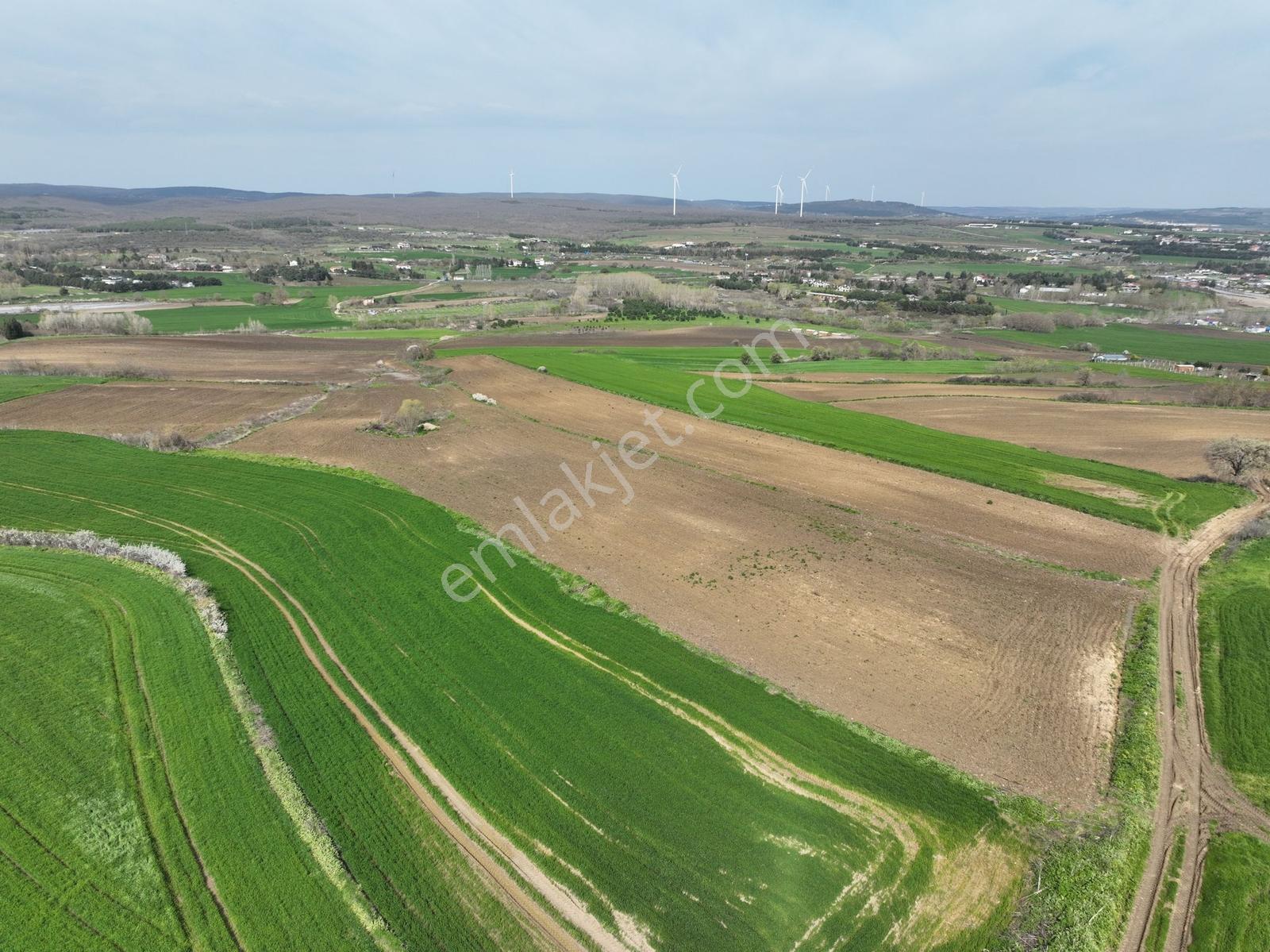 Çatalca İnceğizde Satılık 1125 Metre Çaplı Tarla - Görsel 5