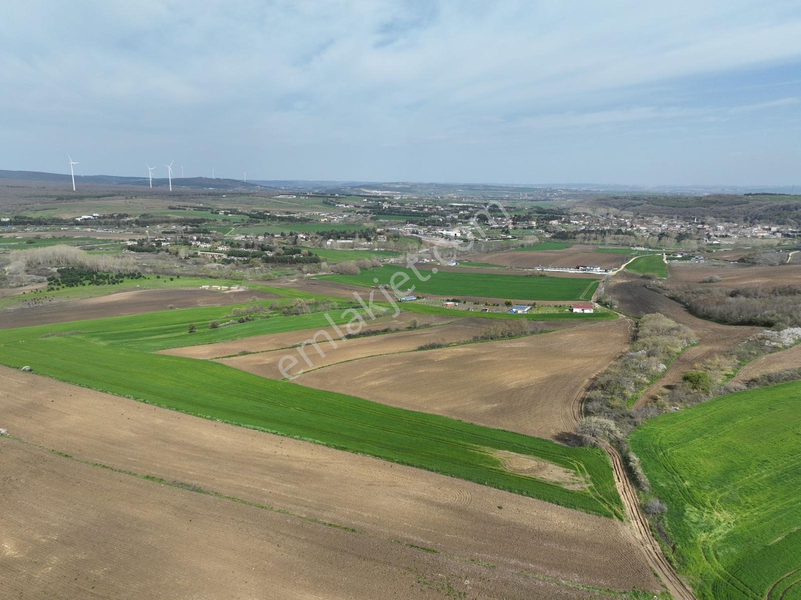 Çatalca İnceğizde Satılık 1125 Metre Çaplı Tarla - Görsel 13